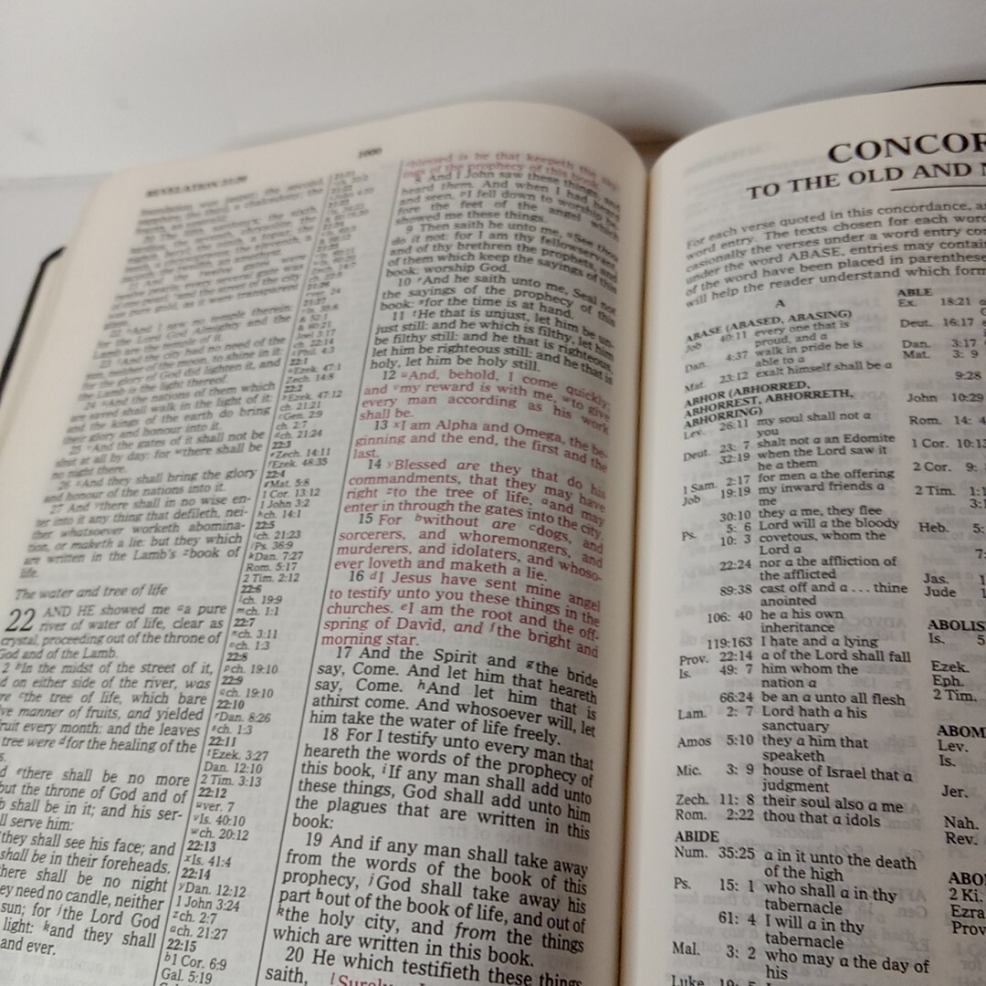 1994 Reference KJV Concordance Leather Red Letter Bible Zondervan Blue Vtg