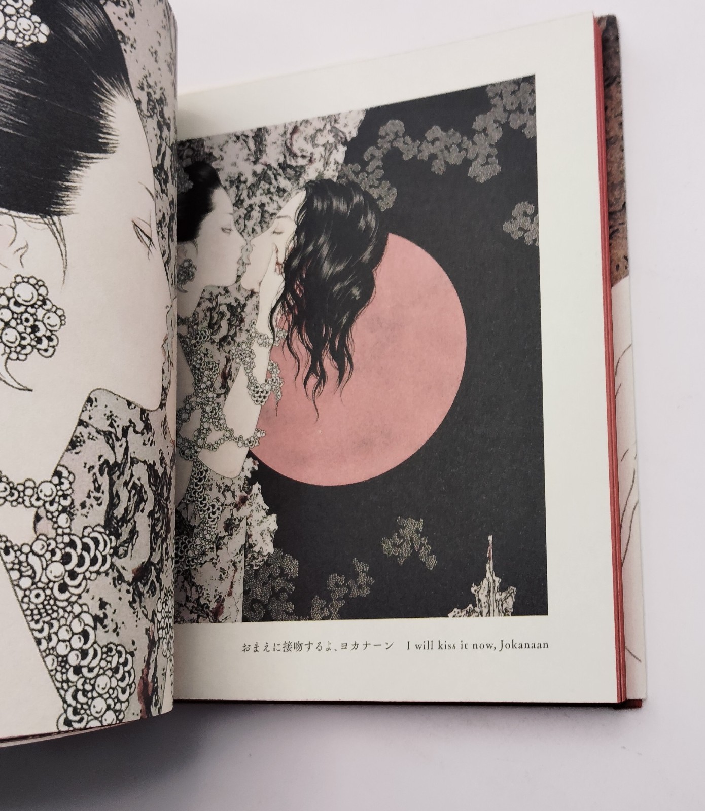 Vampire’s Box Takato Yamamoto Art Book Gothic Illustration