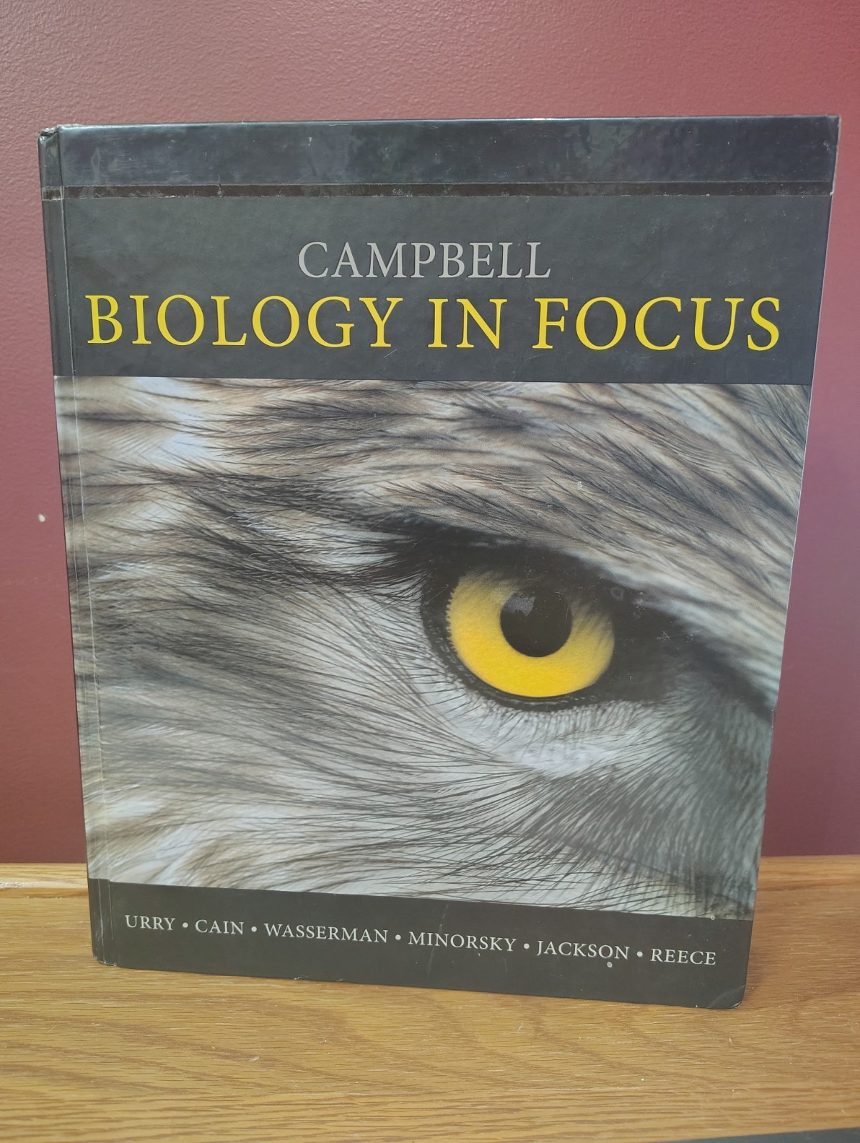Campbell Biology in Focus – Standalone book, Urry, Lisa A.,Cain, Michael L.,Wass