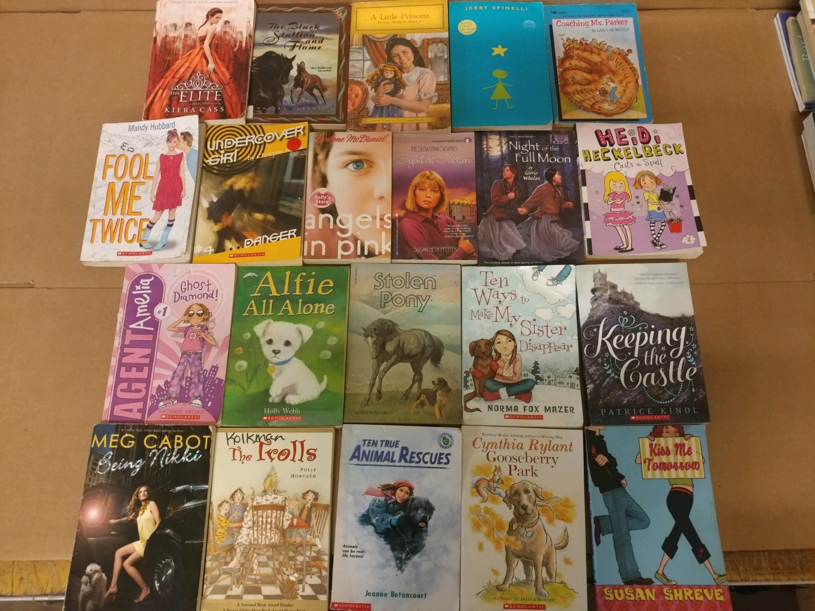 Lot of 20 Chapter Books for GIRLS Youth Early Reader Young Adult Children RANDOM