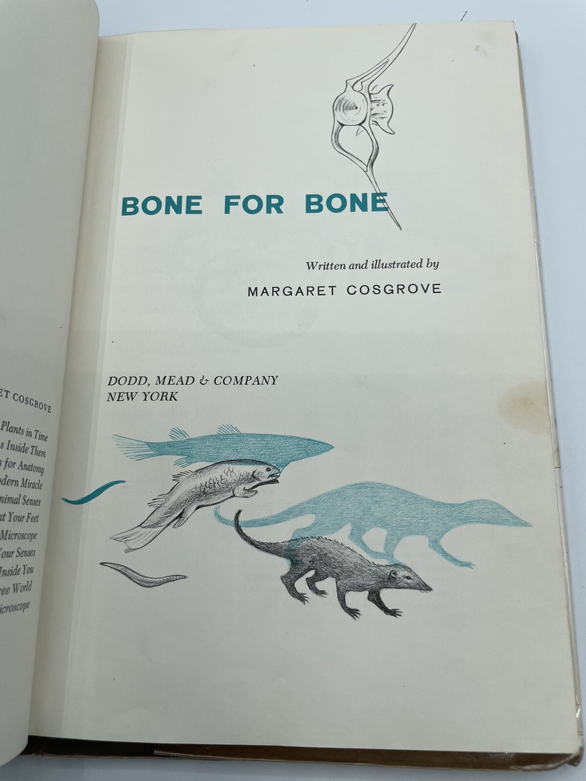 Bone for Bone Margaret Cosgrove 1968 hardcover rare Dust Jacket 128 Pages