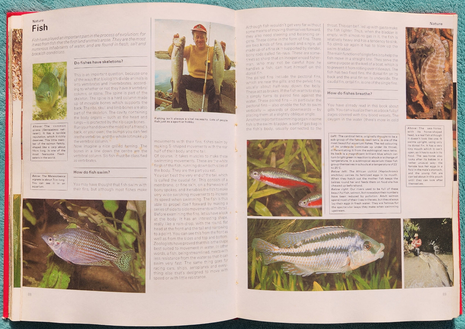 All-Colour Question And Answer Encyclopedia 1979 Illustrated Hardcover 220 Pages