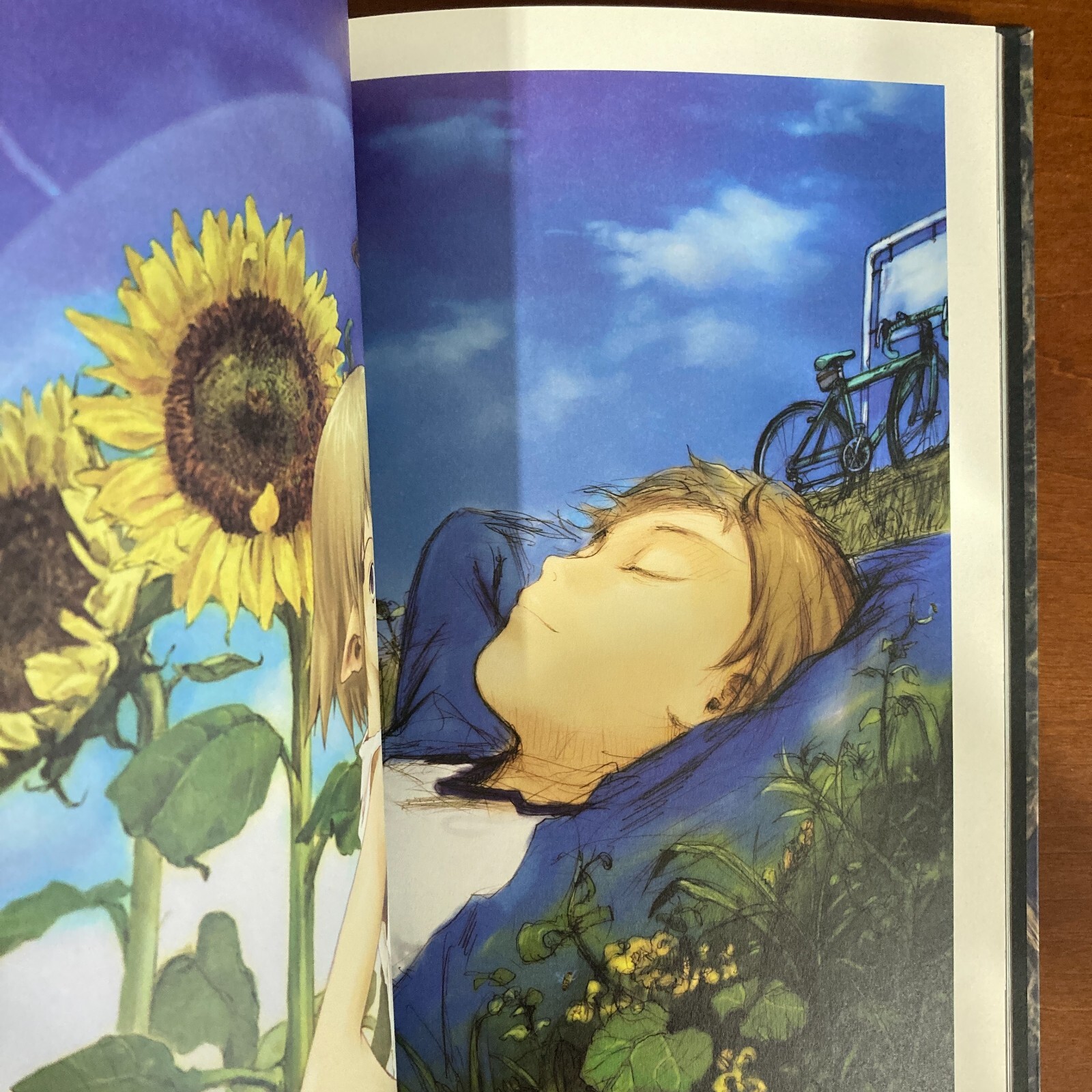 Yoshitoshi Abe Art Book Gaisoukyu Art Book Illustration