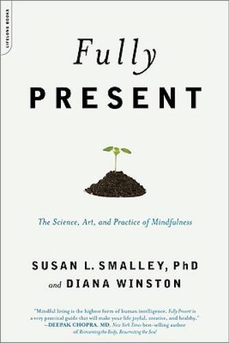 Fully Present: The Science, Art, and Practice of Mindfulness – VERY GOOD