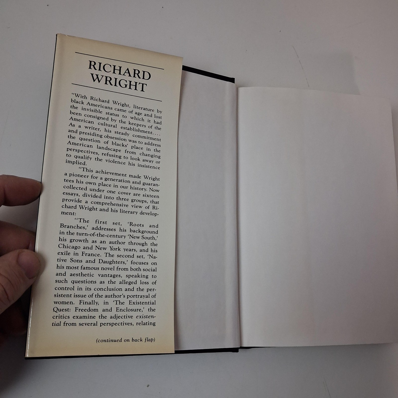Richard Wright A Collection Of Critical Essays Hardcover 1984 Prentice Hall