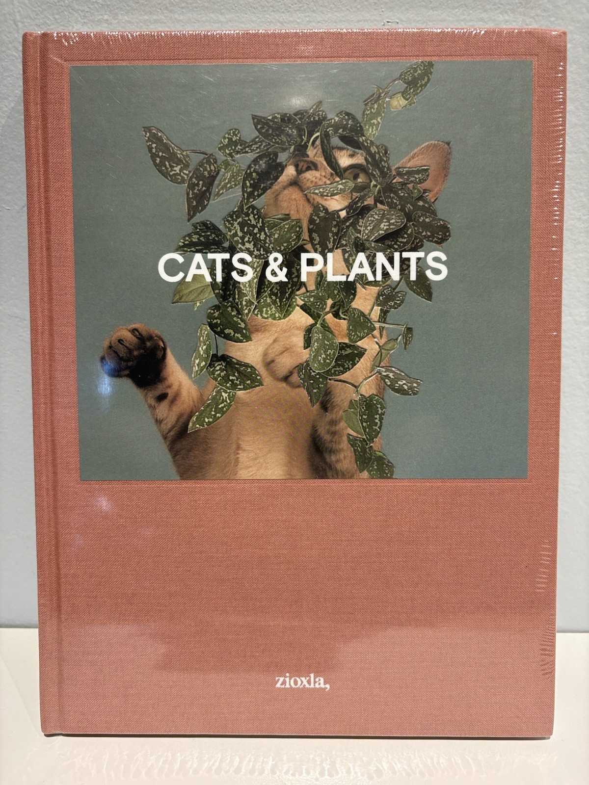 Stephen Eichhorn Photobook CATS & PLANTS Shrinkwrapped & NEW OP RARE!!