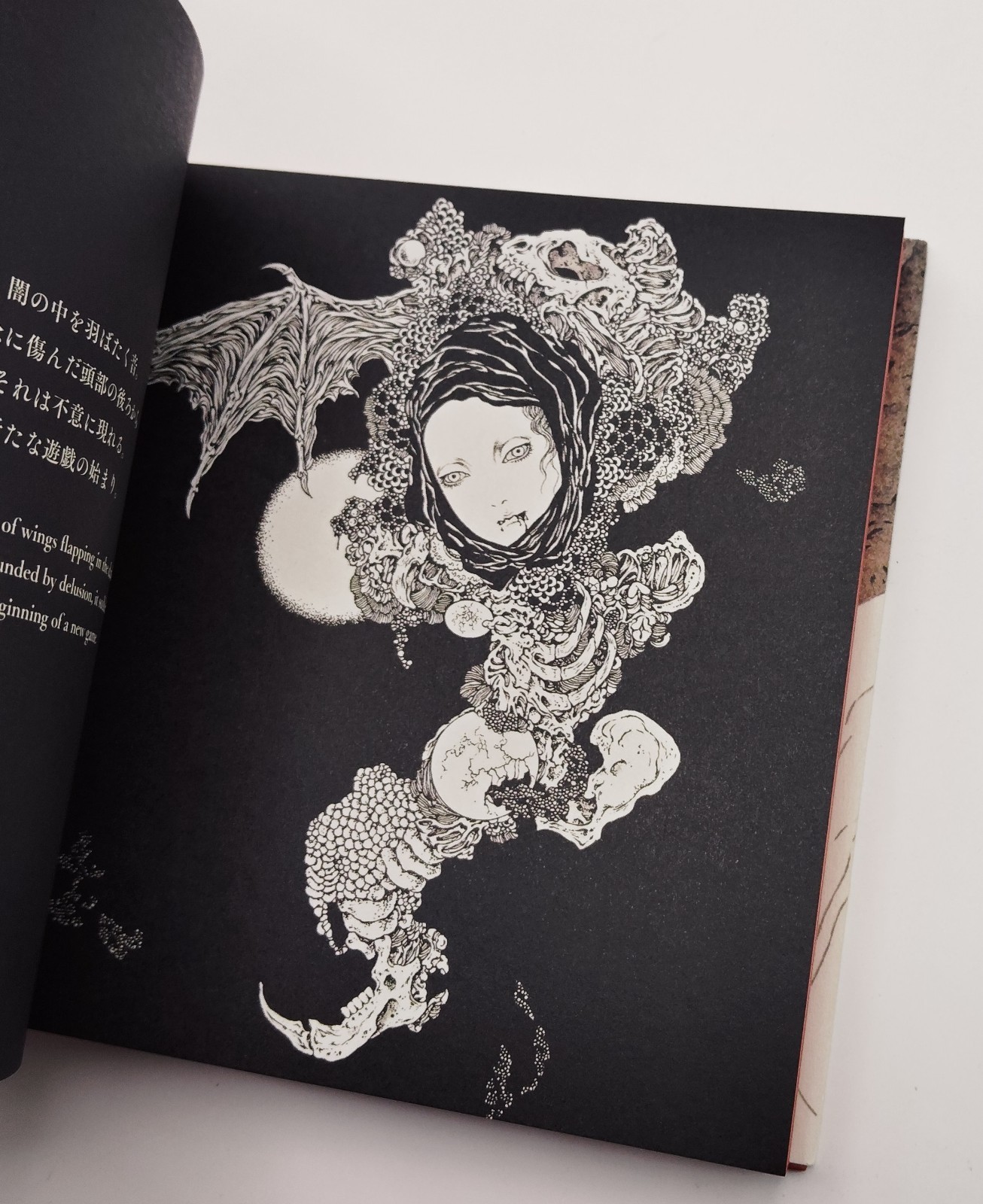 Vampire’s Box Takato Yamamoto Art Book Gothic Illustration