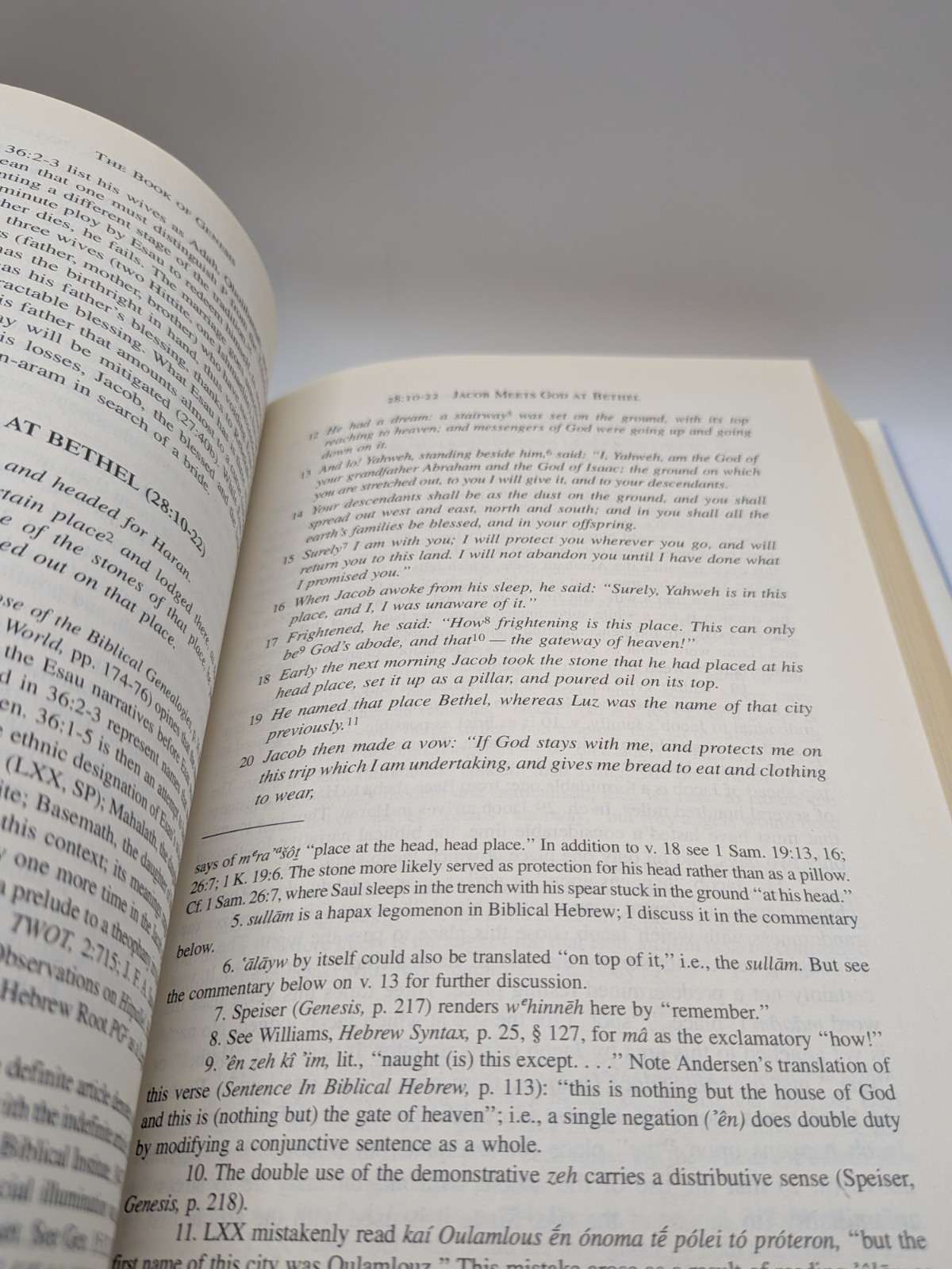 The Book of Genesis Chapters 18-50 Hamilton Victor P Good Used New Commentary