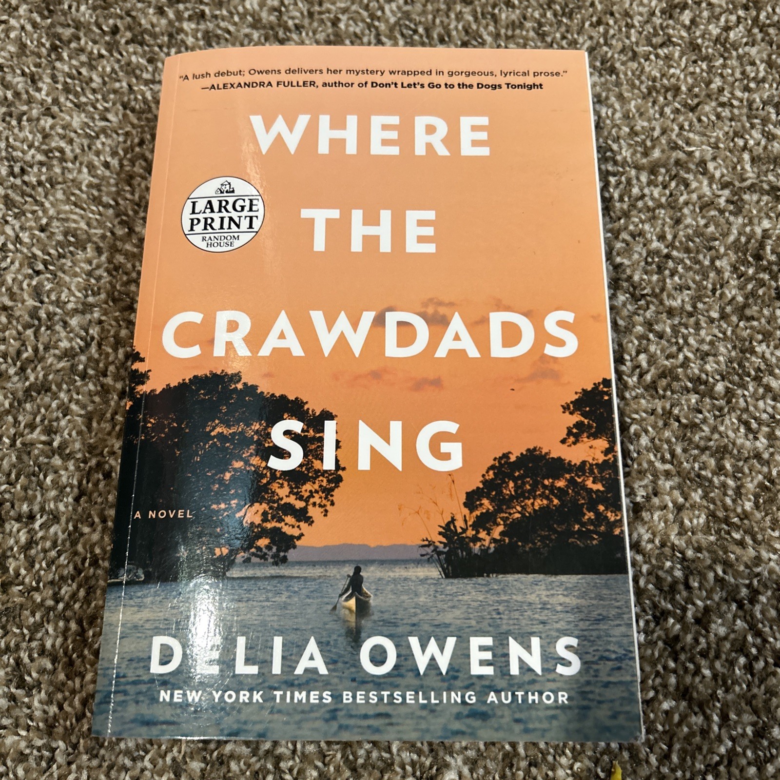 Where The Crawdads Sing by Delia Owens (2018, Paperback, LARGE PRINT )