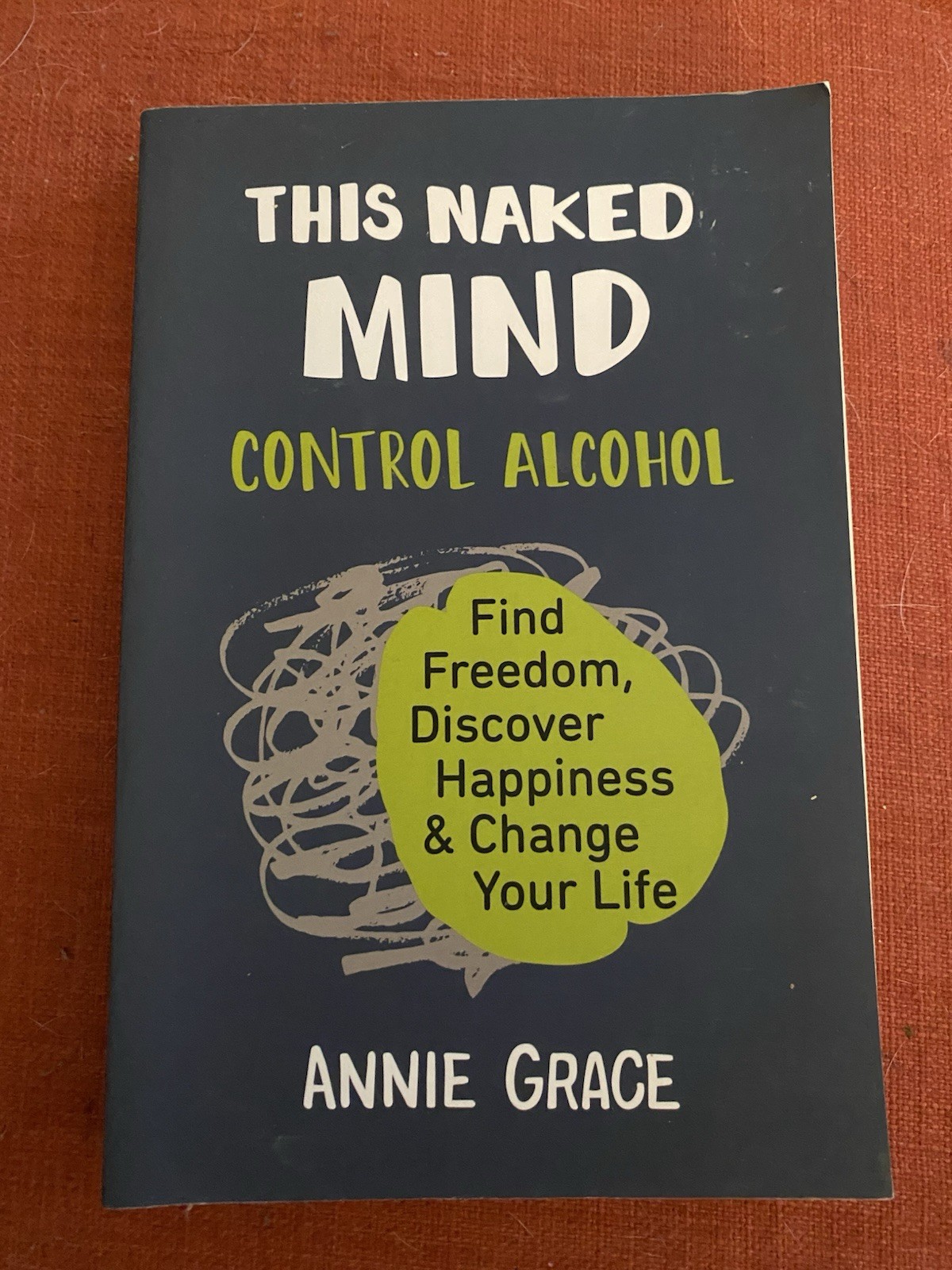 This Naked Mind Annie Grace Paperback Alcohol Happiness Self-Help English