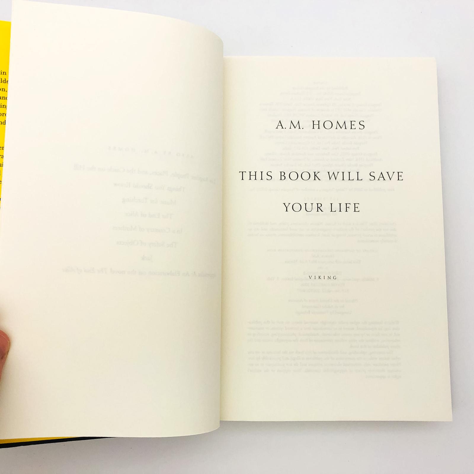 This Book Will Save Your Life Hardcover A. M. Homes 2006 Mid Life Crisis 1st EY