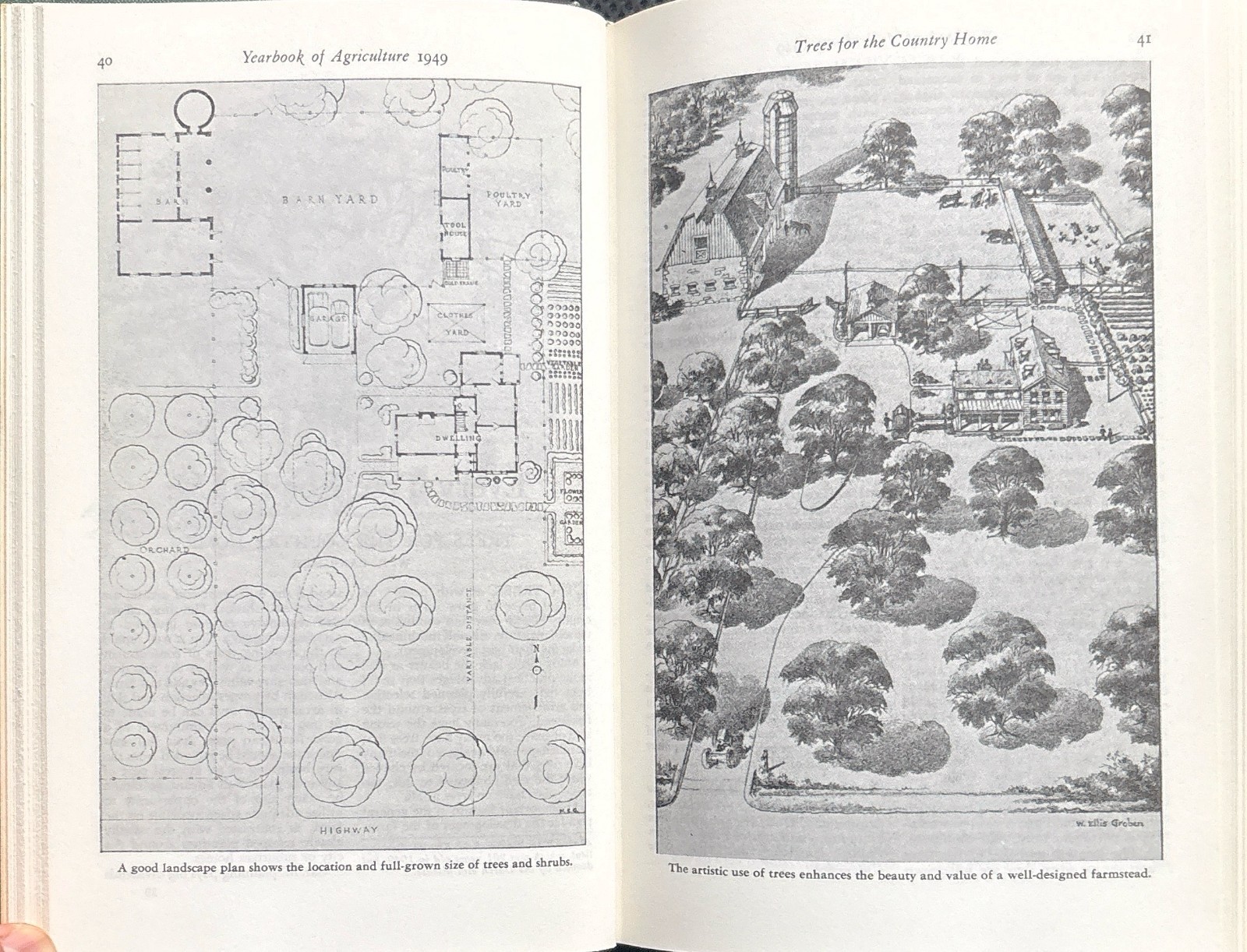 1949 VINTAGE USDA Yearbook of Agriculture “TREES” – 944 Pages Illustrated HC