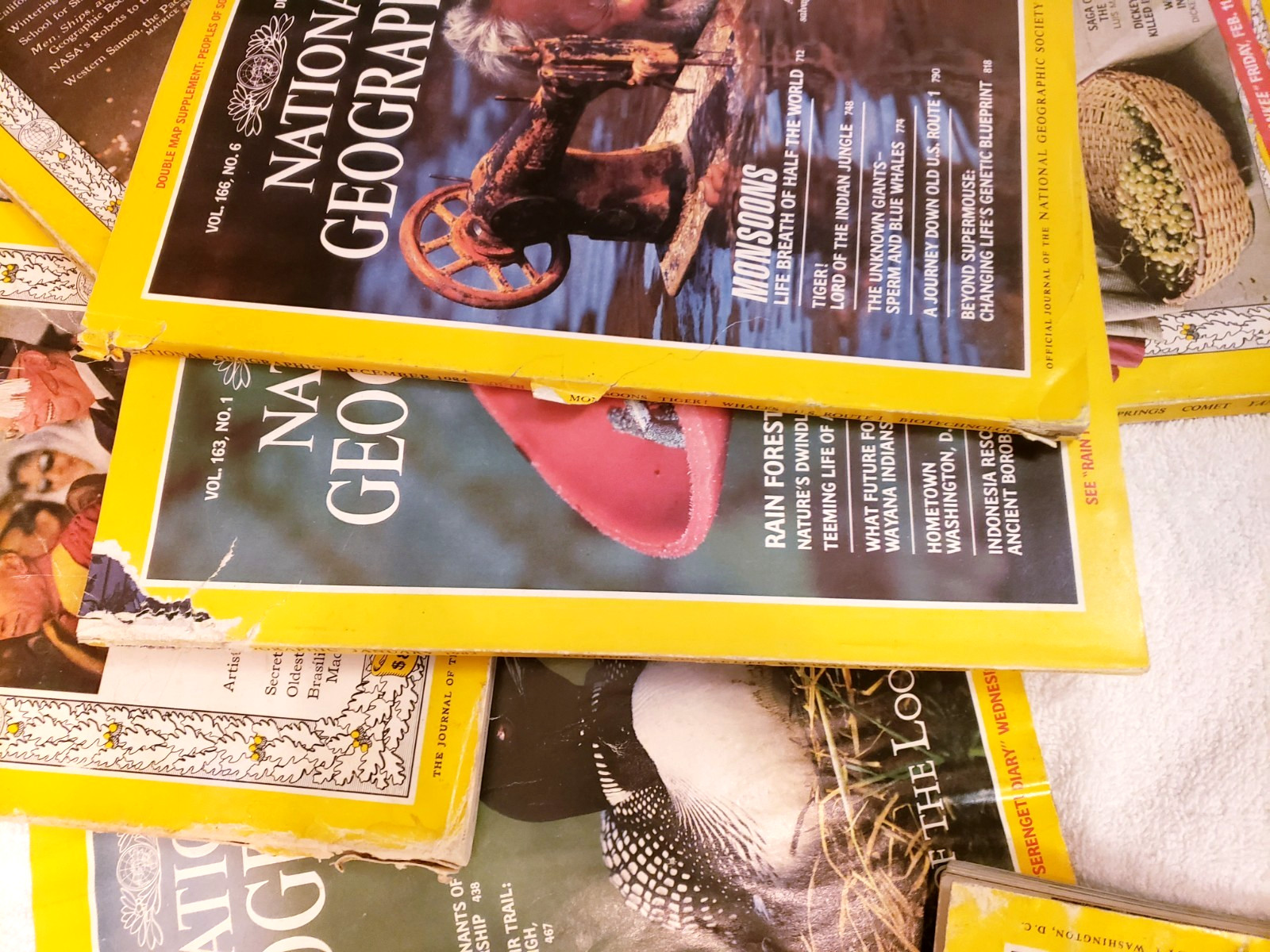 Lot 9 National Geographic Random Pick 1960s – 2010s No duplicate DAMAGED