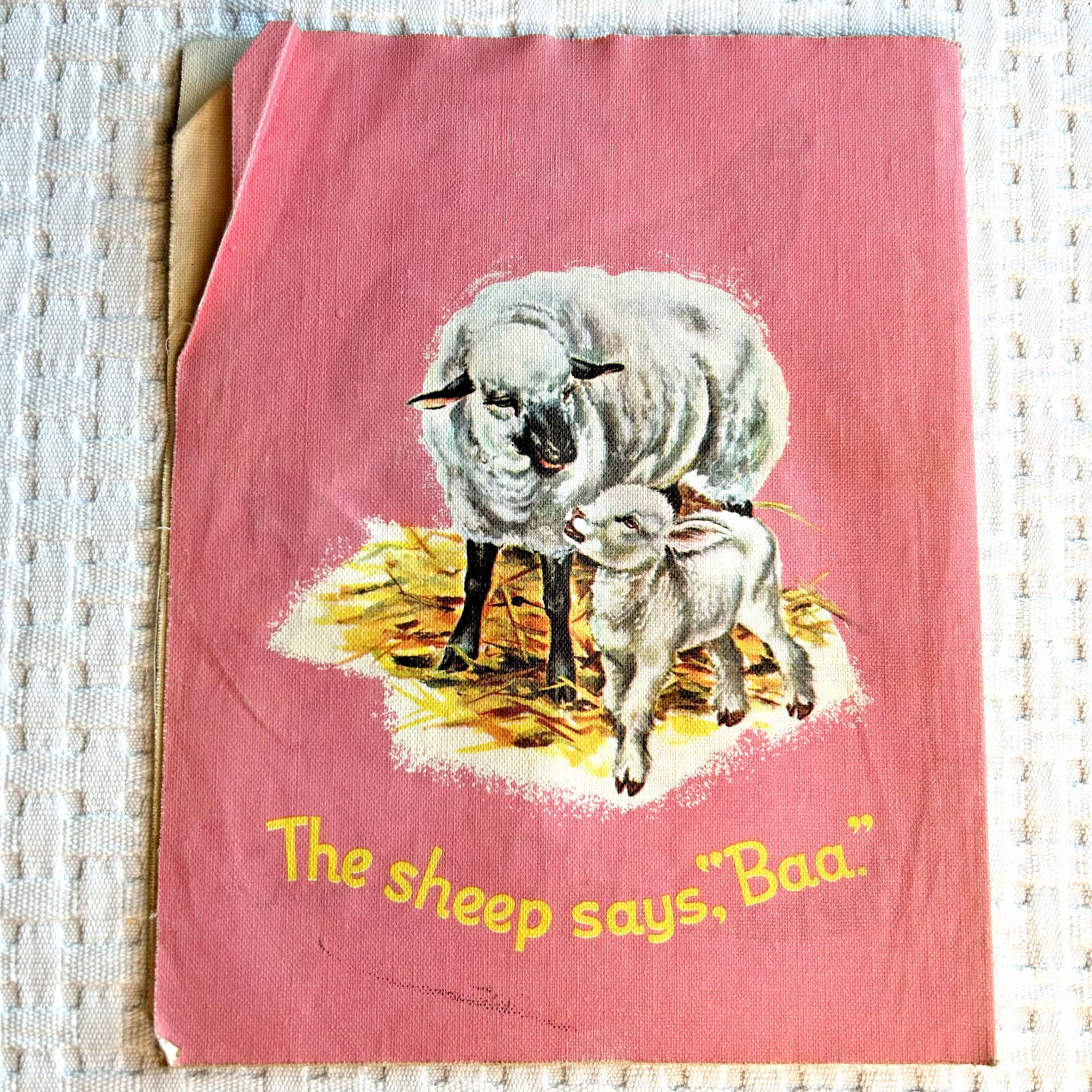 Vintage 1950s Real Cloth Books Whitman Publishing Mid Century Platt Munk 1939