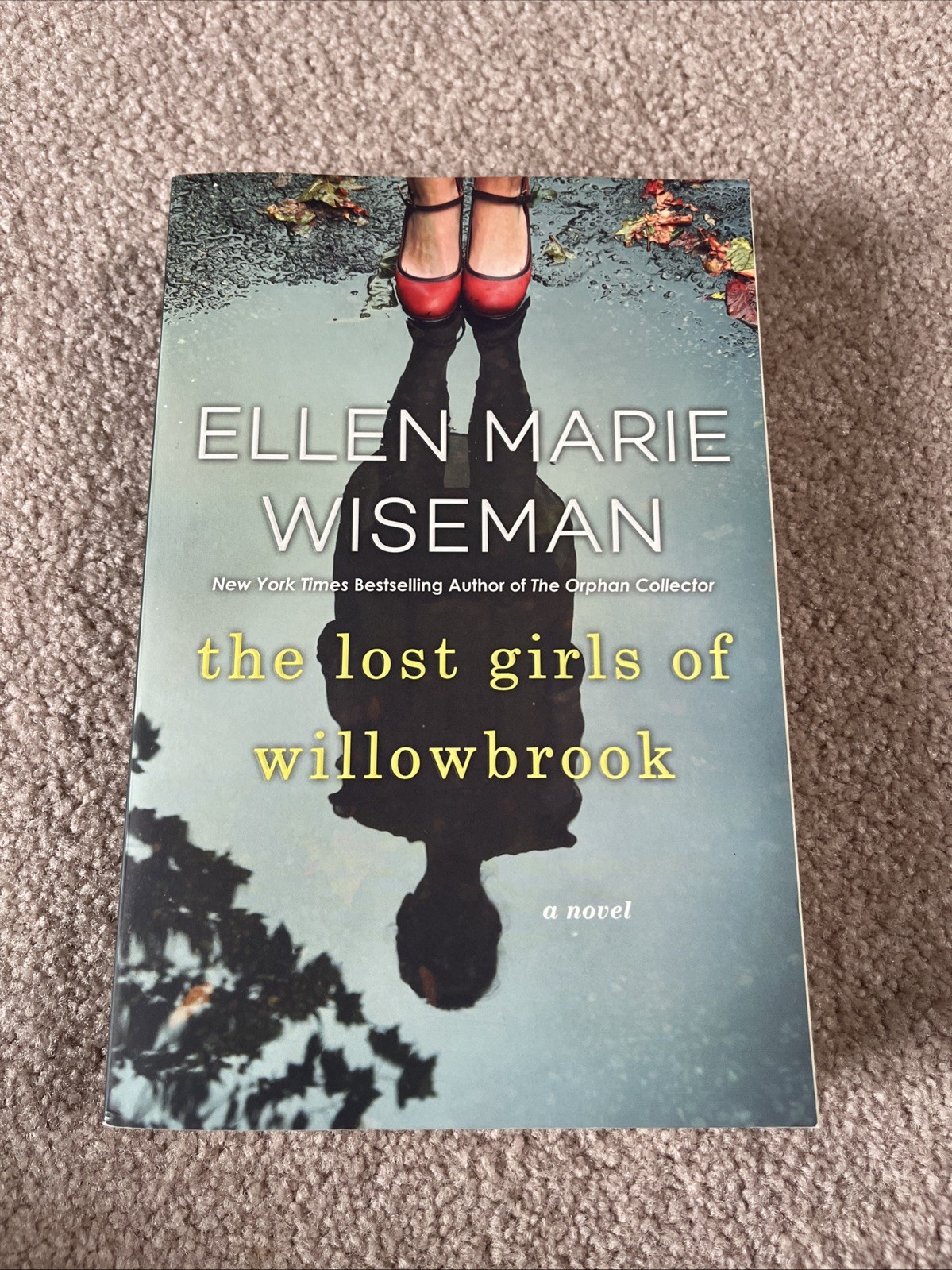 The Lost Girls of Willowbrook: A Heartbreaking Novel