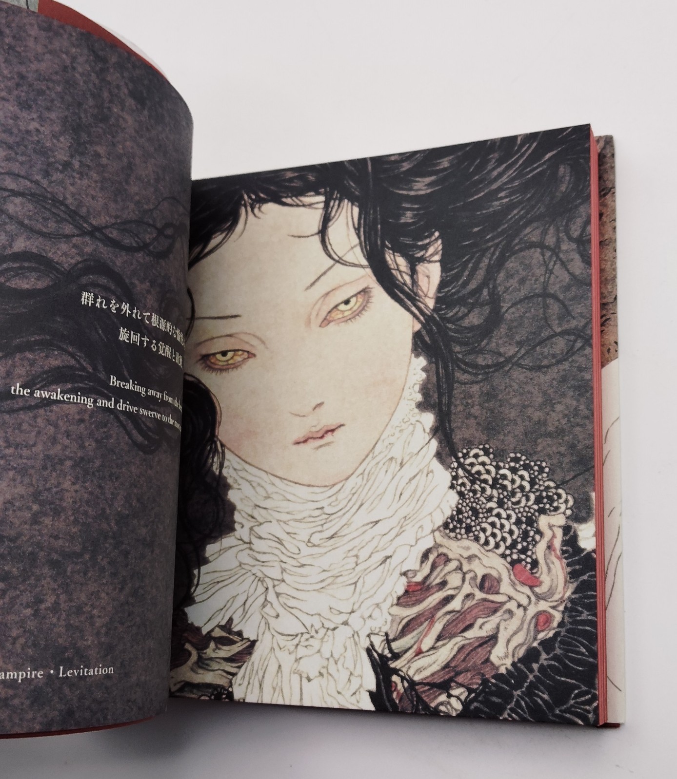 Vampire’s Box Takato Yamamoto Art Book Gothic Illustration