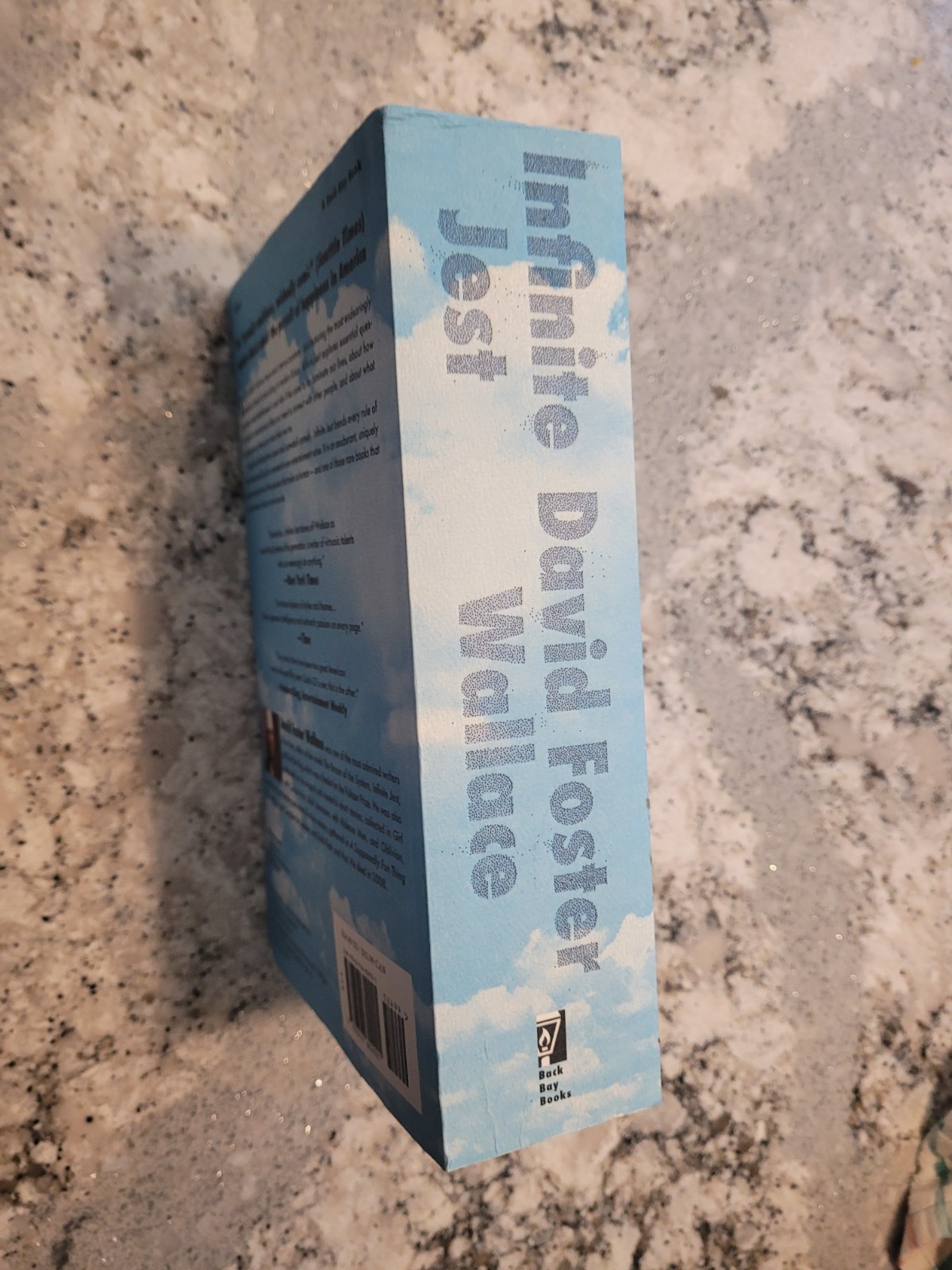 Infinite Jest 30th Anniversary Edition 9780316602921 by David Foster Wallace