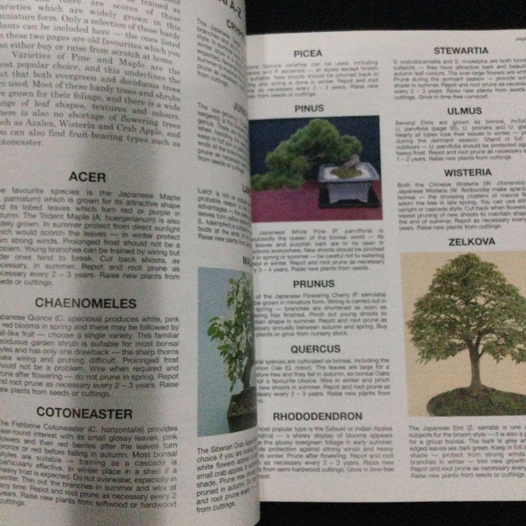 The House Plant Expert Dr. 128 Pages Gardening Plants English Book 9.5×7.1in