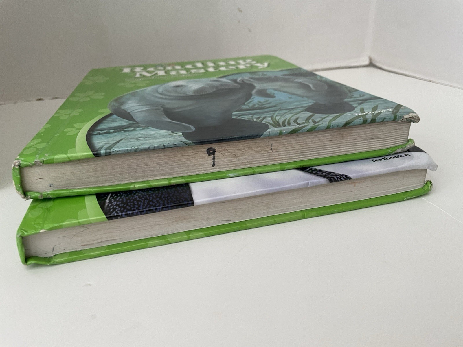 SRA McGraw Hill Reading Mastery Signature Edition Textbook A & B