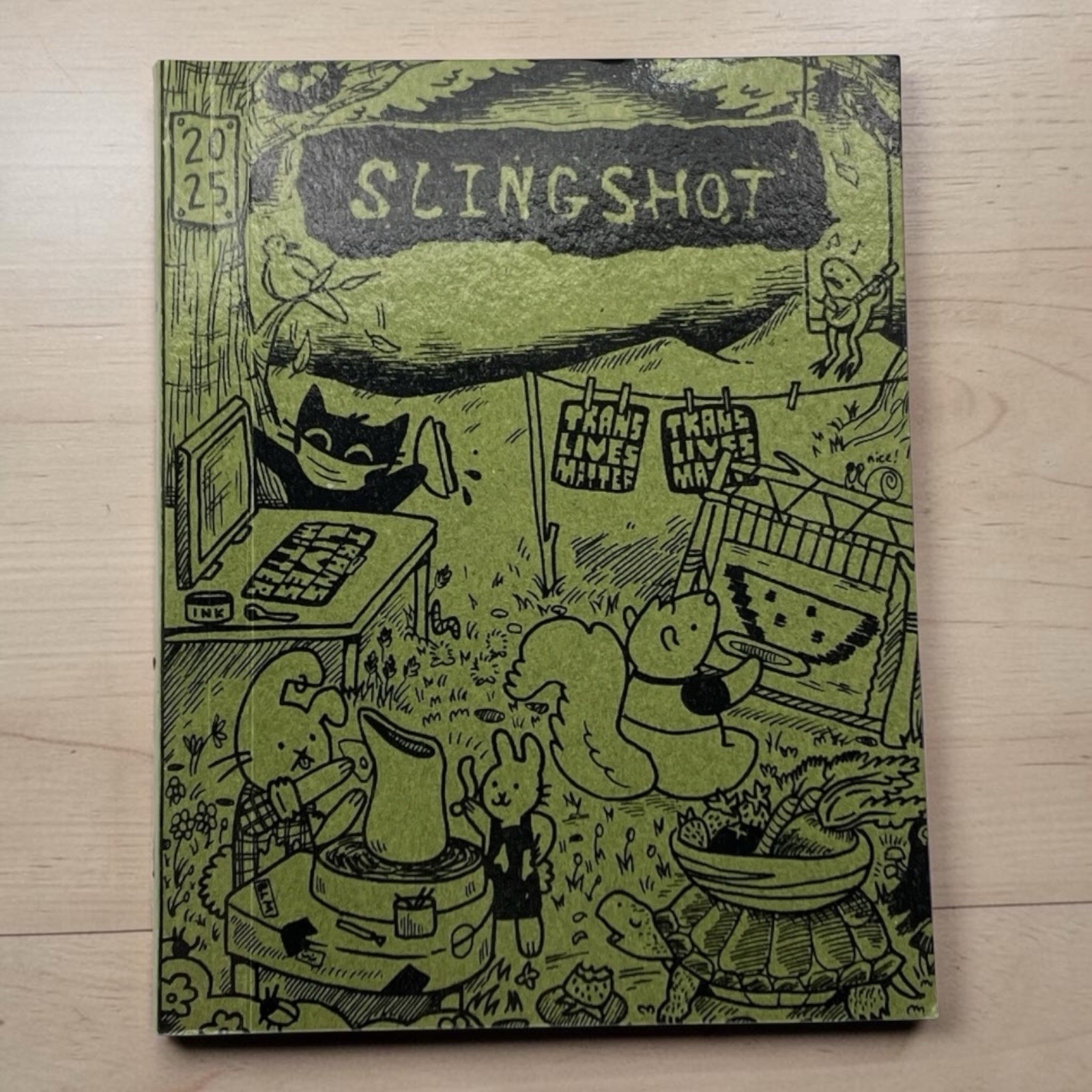 2025 Slingshot Collective Organizer Green Feminist Grassroots Liberation Radical