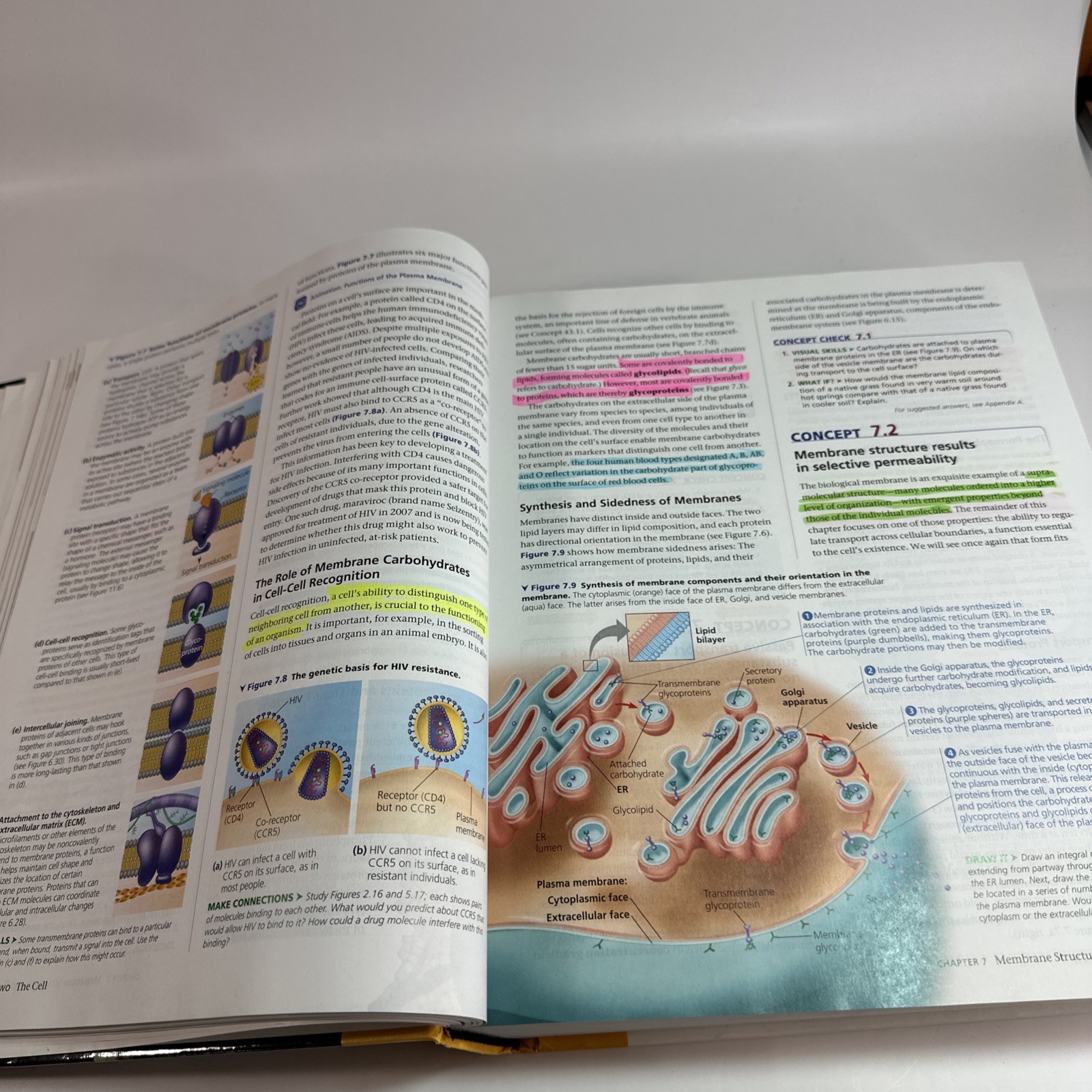 Campbell Biology 11th Edition, Urry Cain Wasserman Minorsky Reece Hardcover 2016