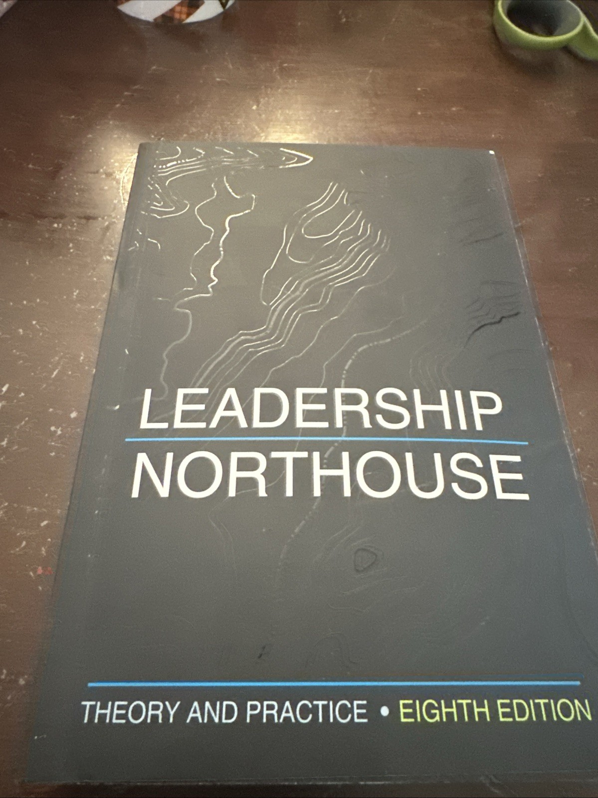 Business Leadership Theory and Practice Peter G Northouse 8th Edition NEW Sealed
