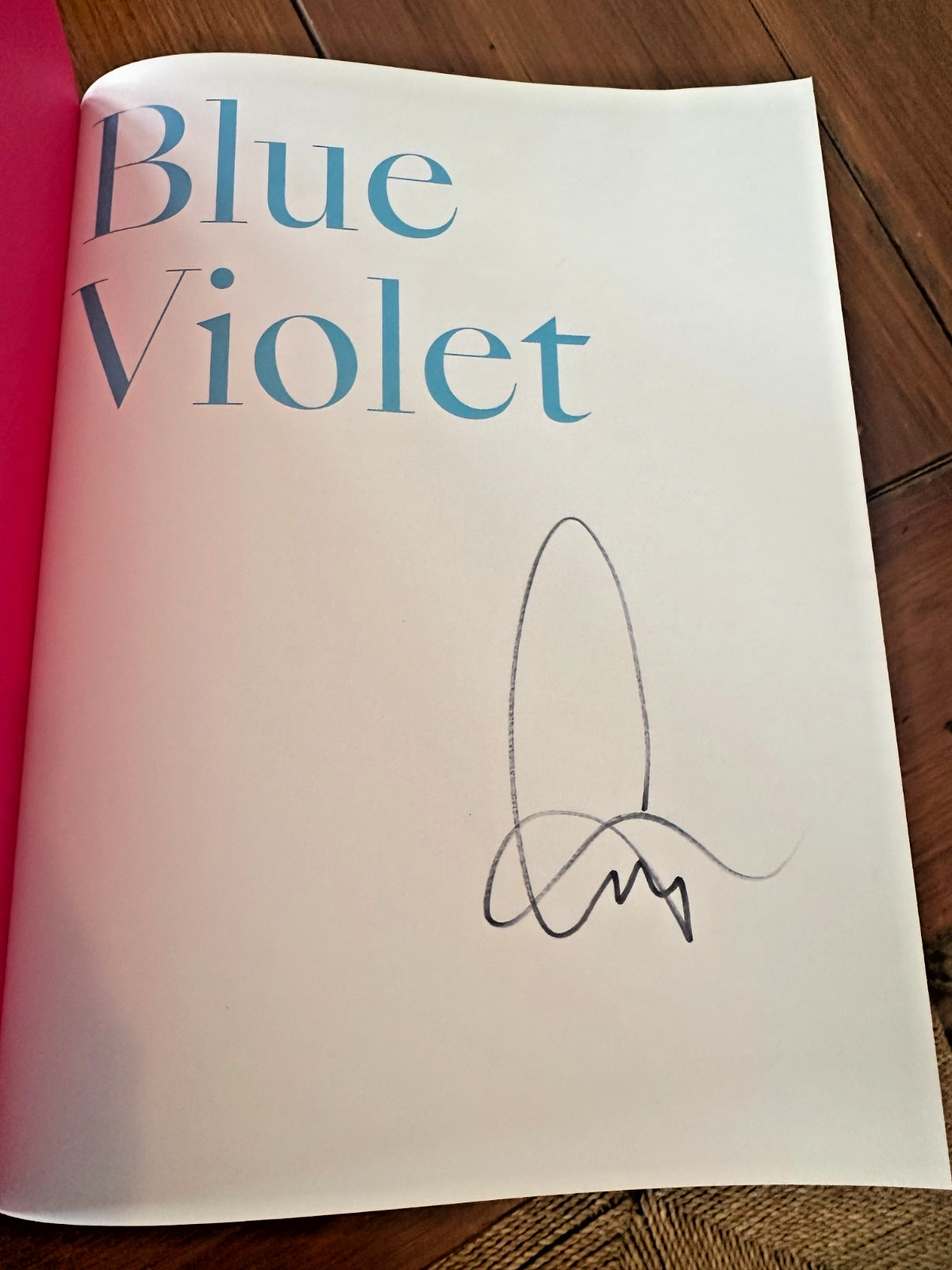 Cig Harvey – Blue Violet – SIGNED FIRST EDITION – Monacelli 2021