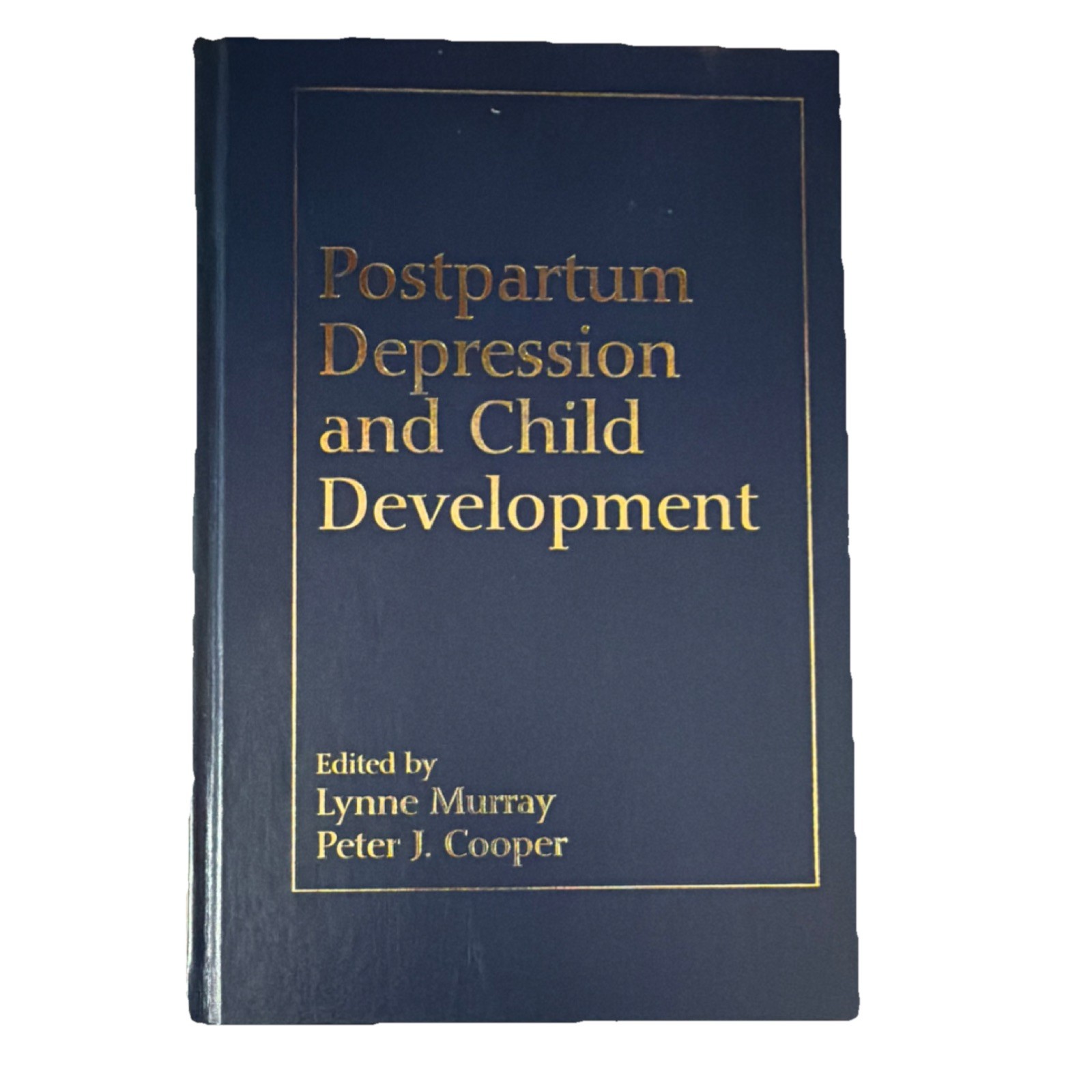 Guilford Publications Hardcover Postpartum Depression & Child Development