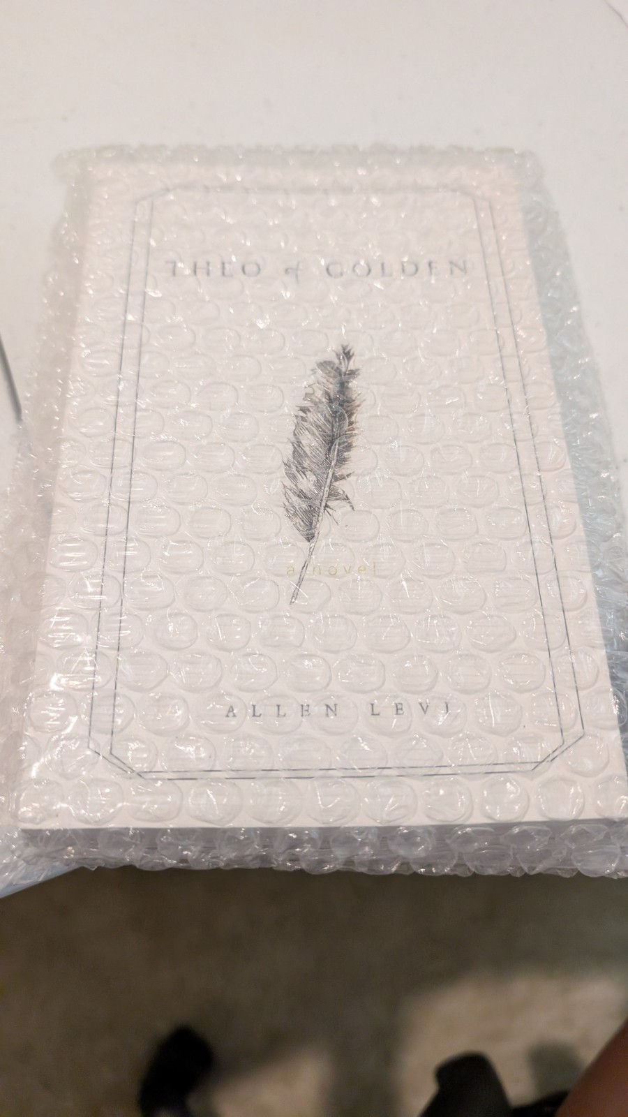 Theo of Golden : A Novel by Allen Levi (2025, Trade Paperback)