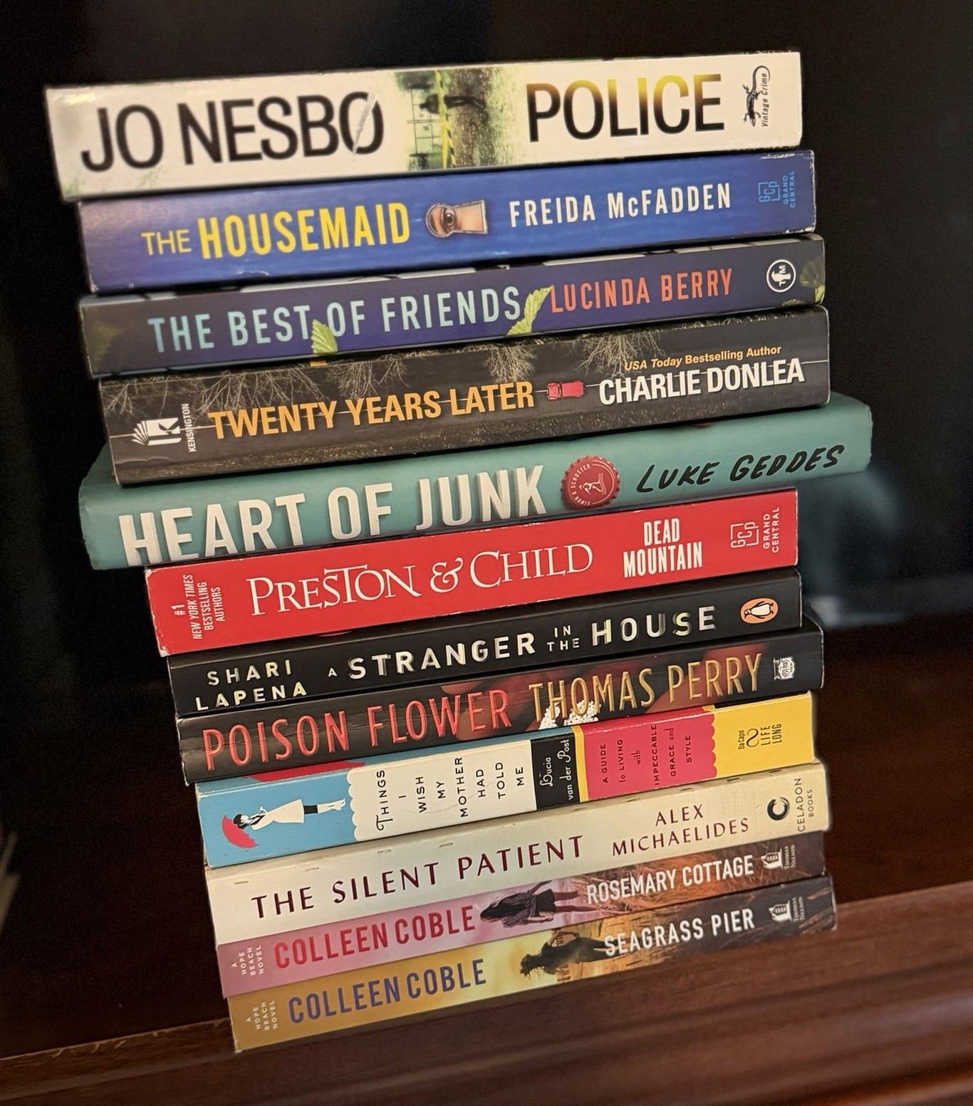 Jo Nesbo, Freida McFadden Paperback Crime & Thriller Fiction Lot, Adults