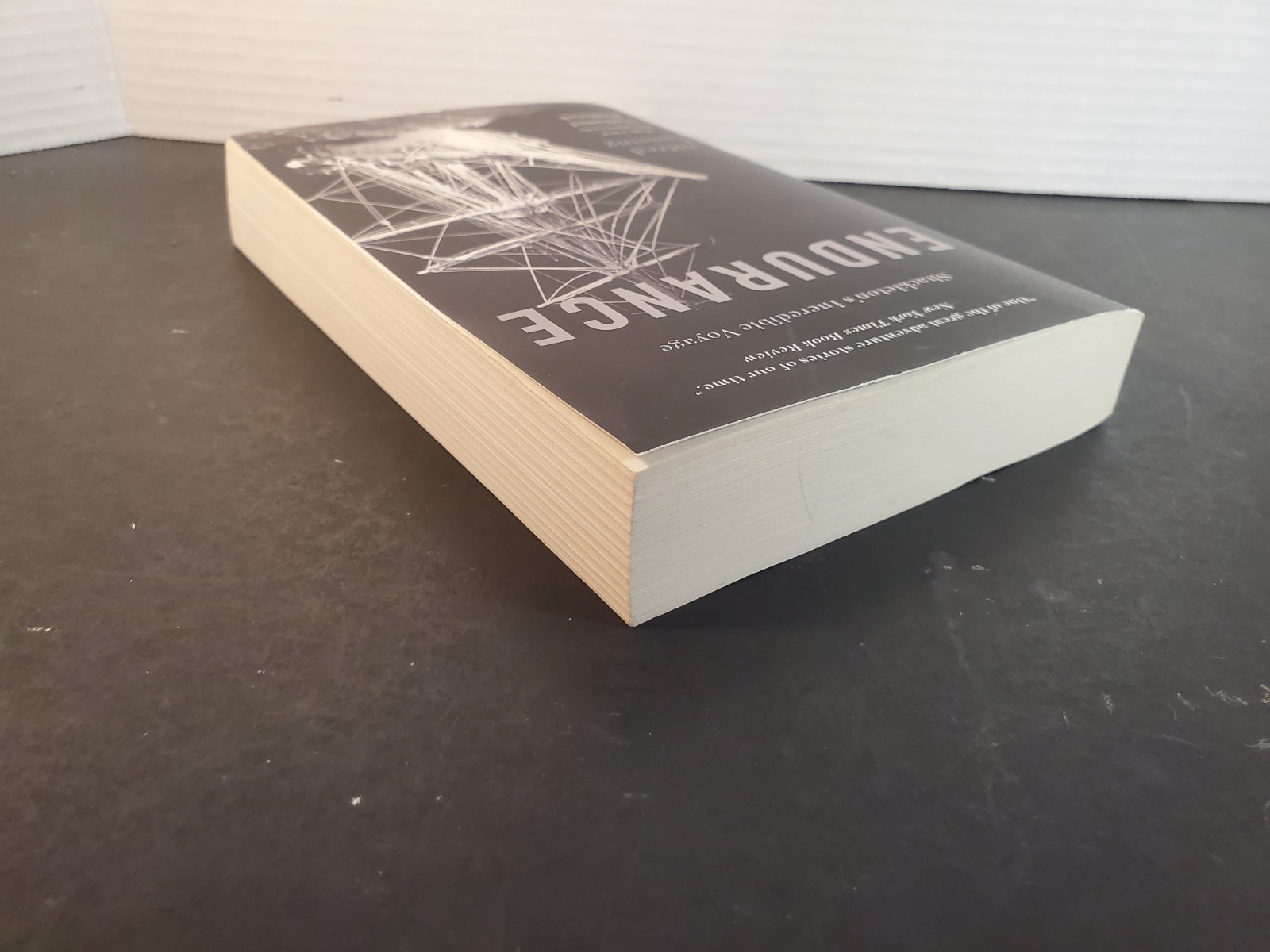 Endurance : Shackleton’s Incredible Voyage by Alfred Lansing (2015, Trade…