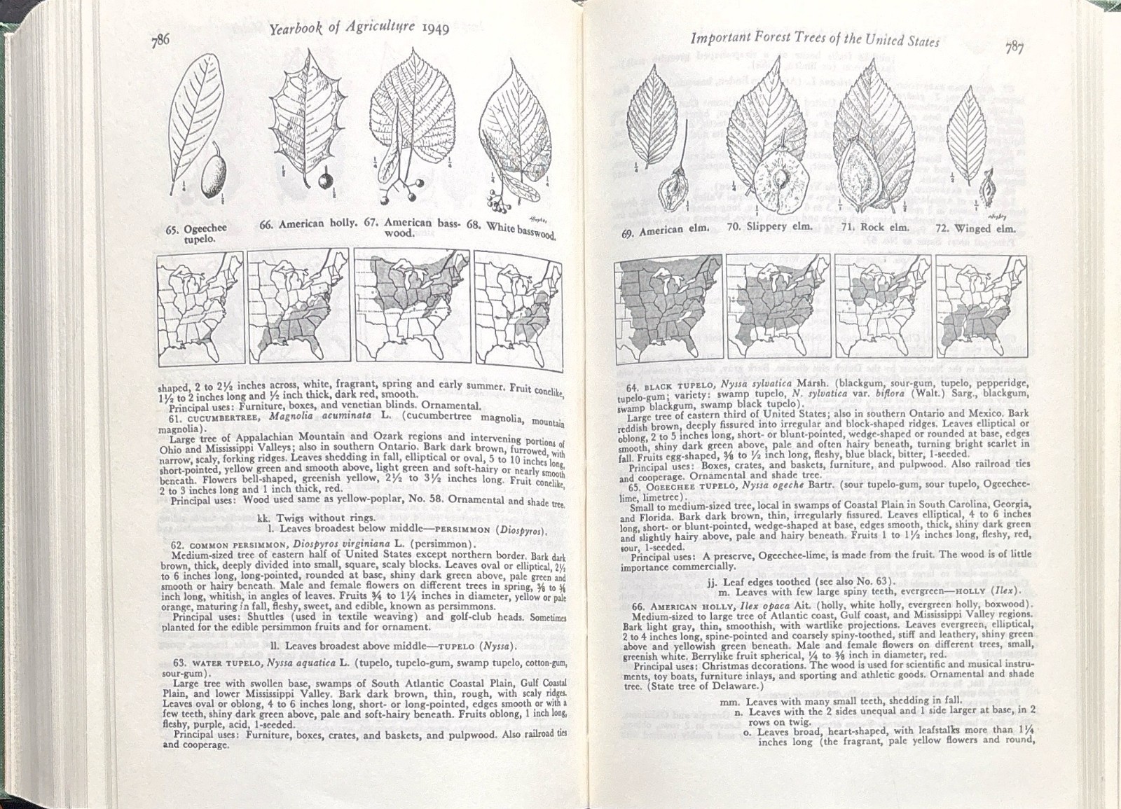 1949 VINTAGE USDA Yearbook of Agriculture “TREES” – 944 Pages Illustrated HC