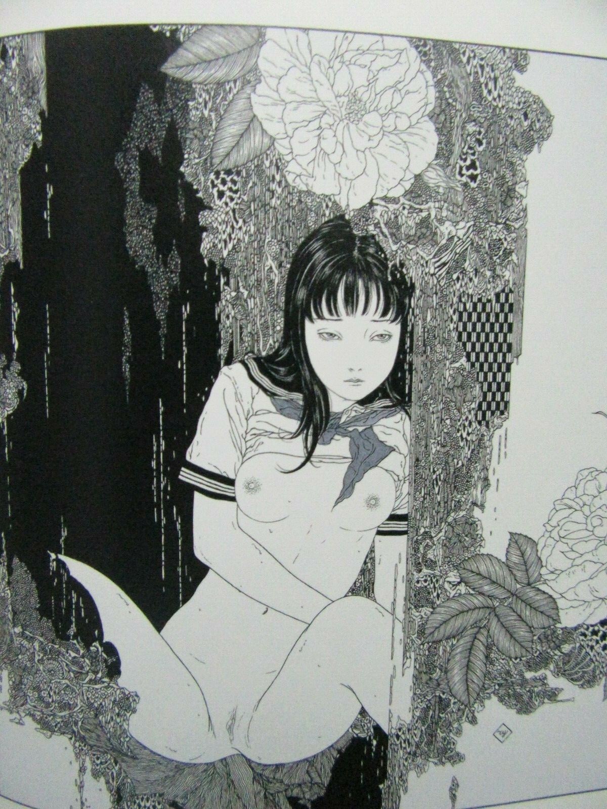 TAKATO YAMAMOTO ALLURE OF PHARMAKON HARDCOVER SIGNED! PAN EXOTICA TREVILLE