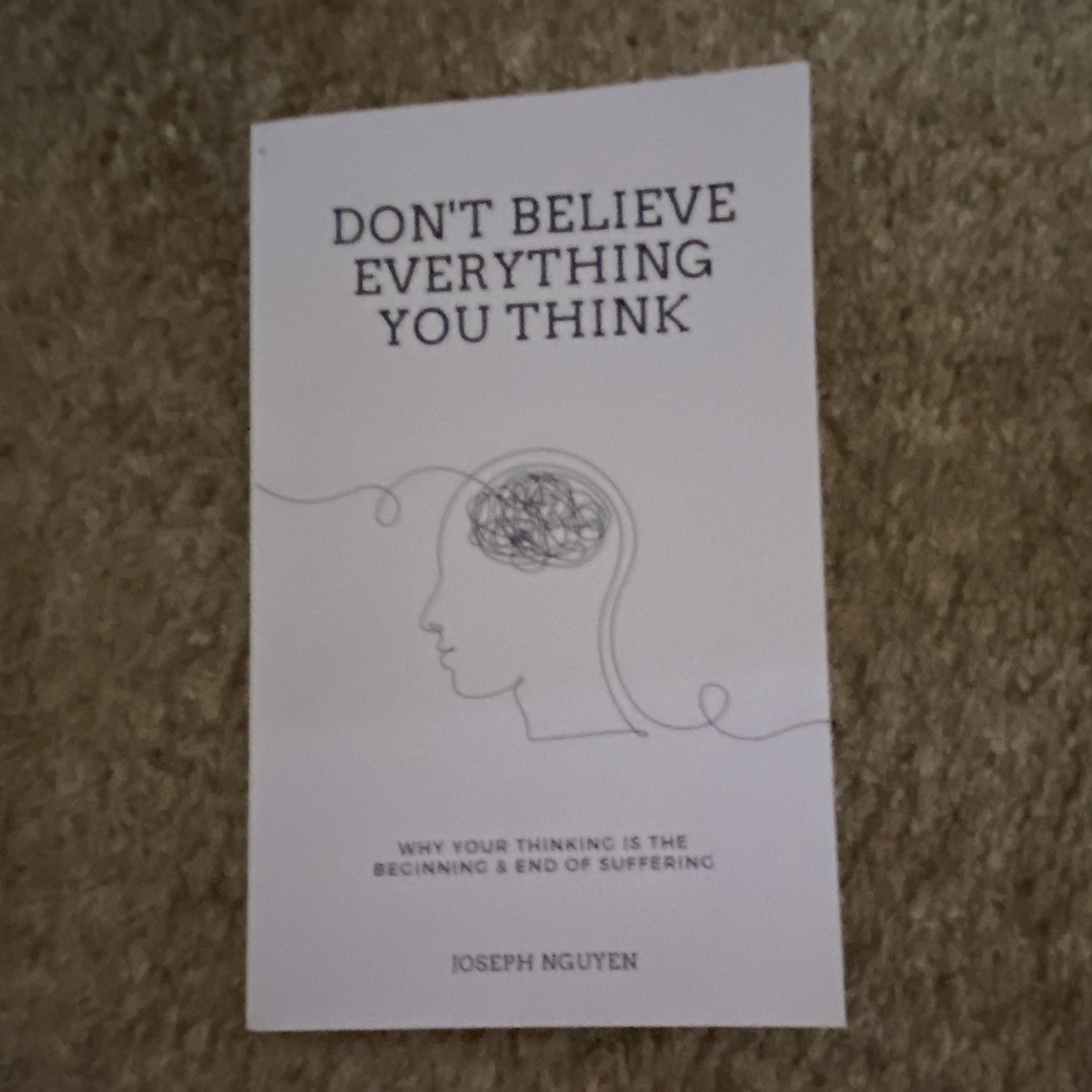 Joseph Nguyen Don’t Believe Everything You Think: Thinking & Suffering Paperback
