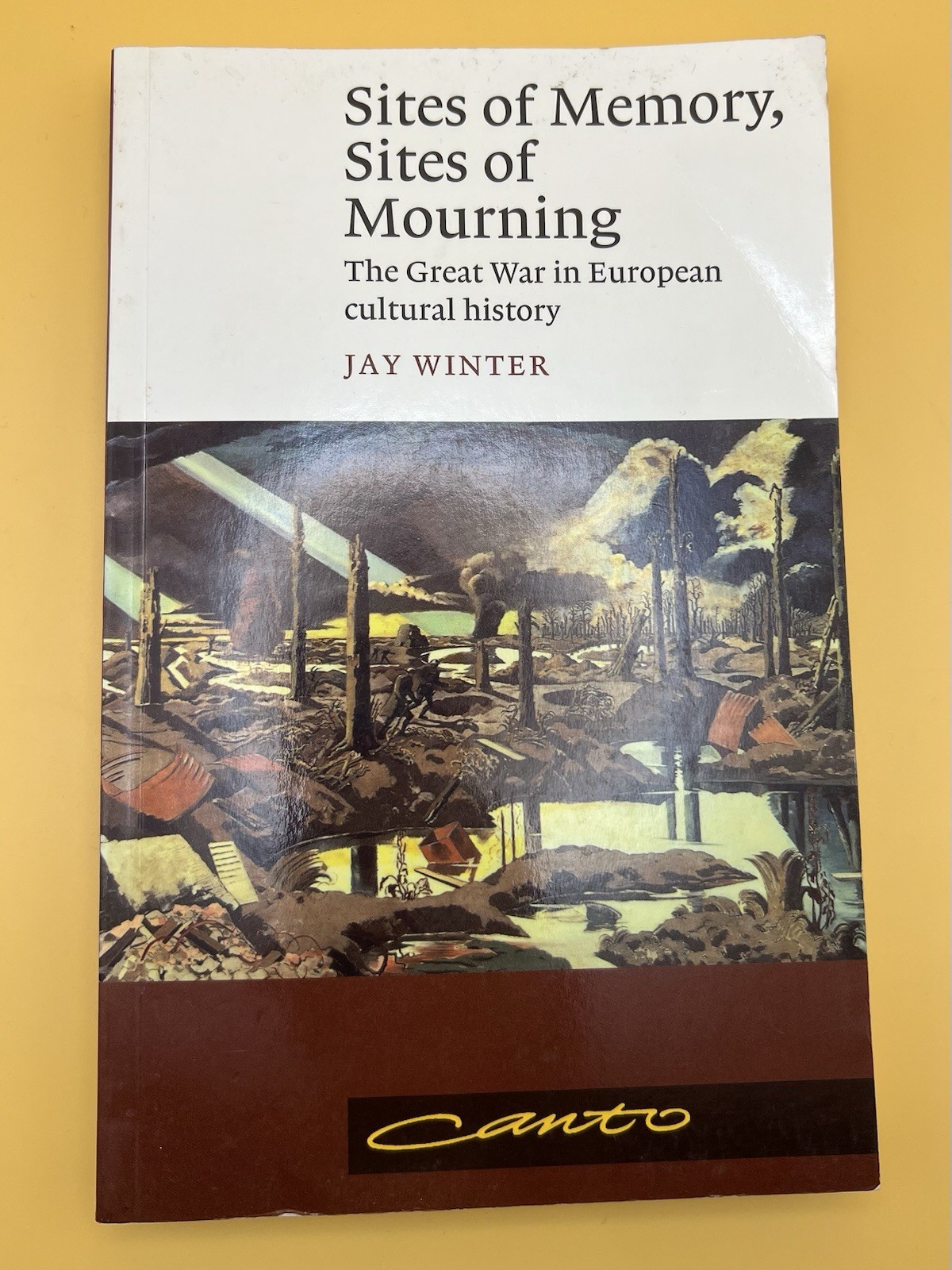 Sites of Memory, Sites of Mourning-Great War in European Cultural History-Winter