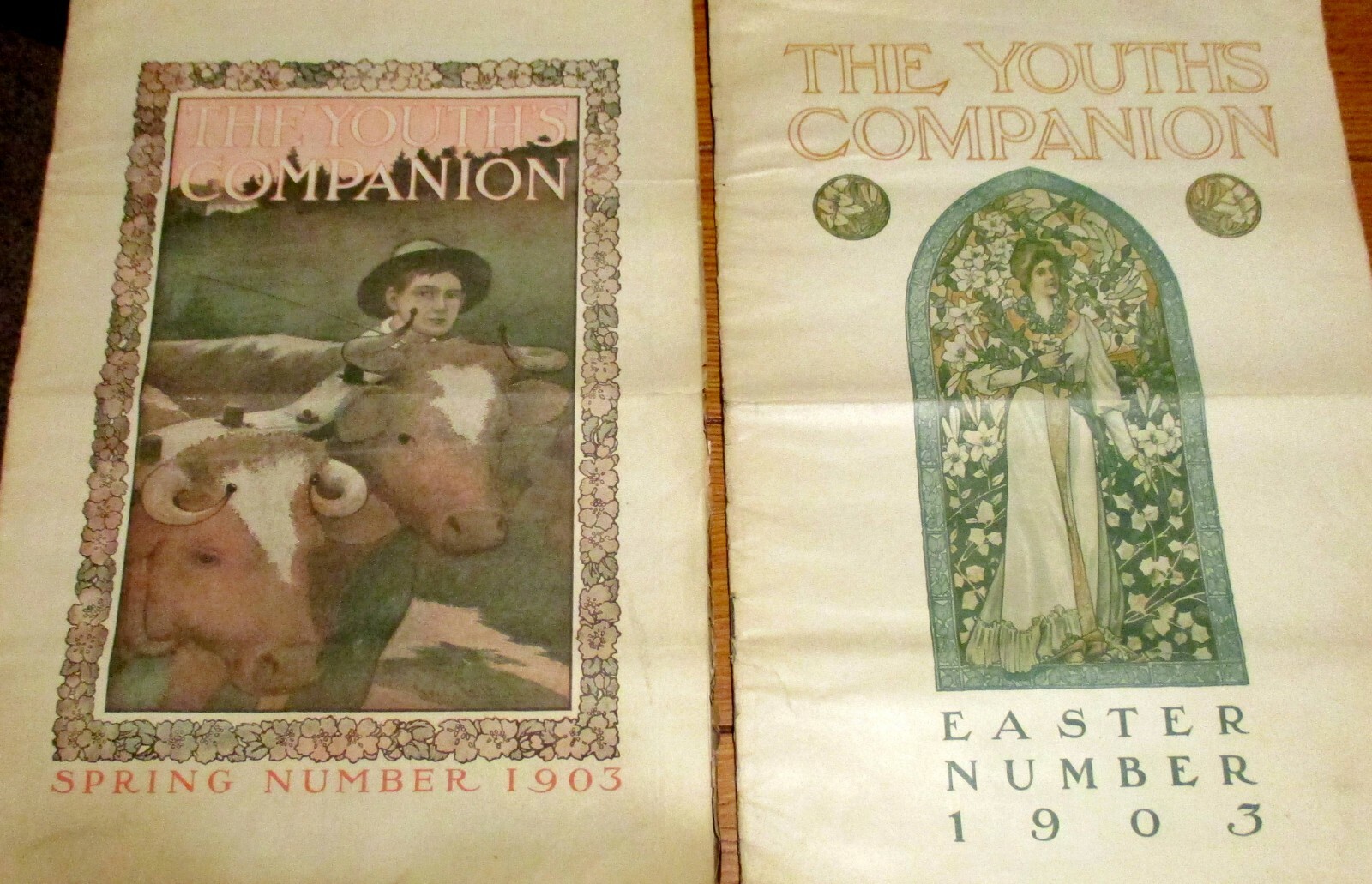 The Youth Companion Lot (14) W/1903 (13) + 1904 (1)