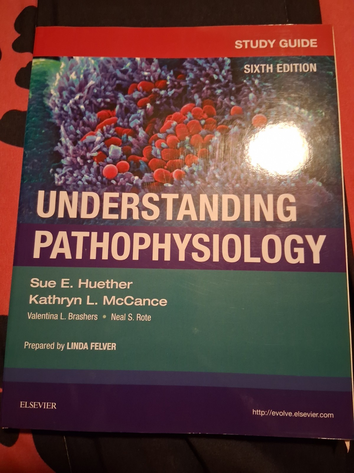 Understanding Pathophysiology 6th Edition