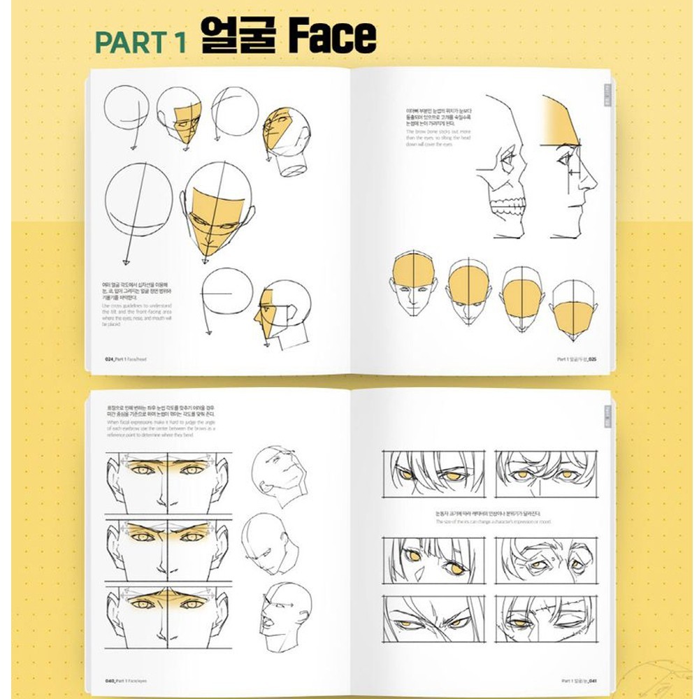 Point Character Drawing 2 by Taco Korean Manga Anatomy Book English Sub