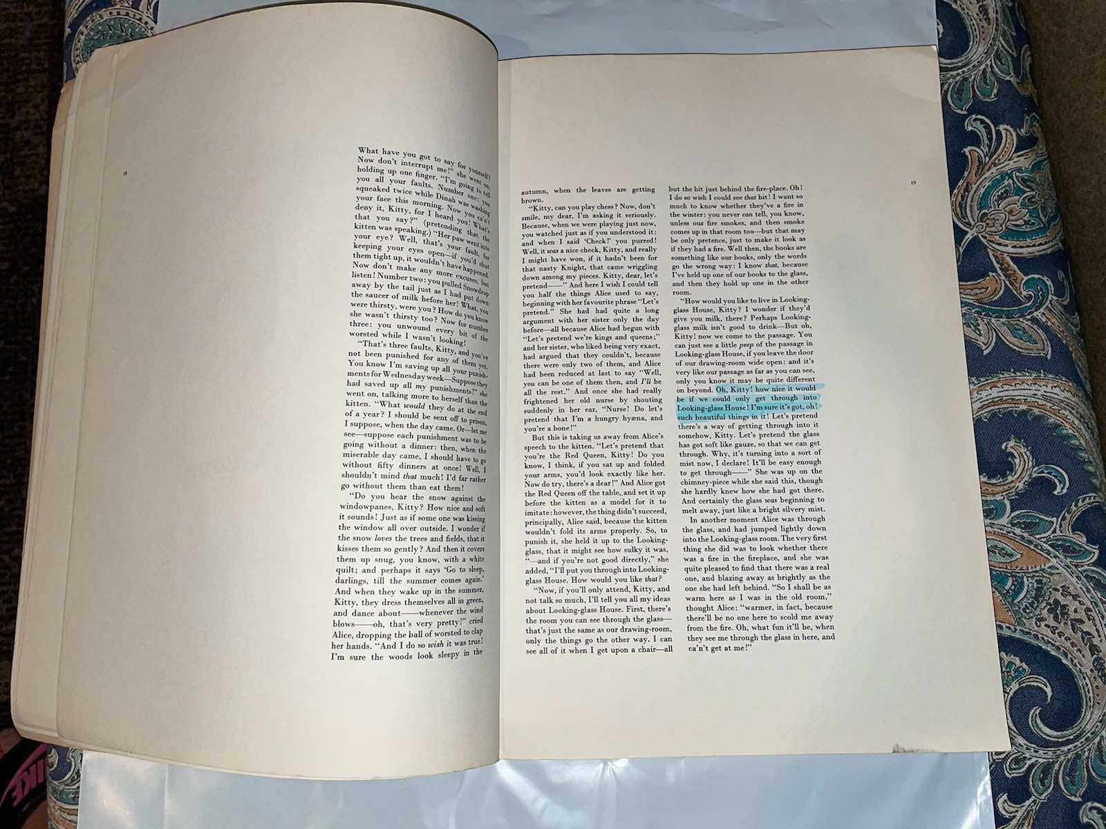 First Edition Through the Looking Glass – Clarkson Potter paperback Book