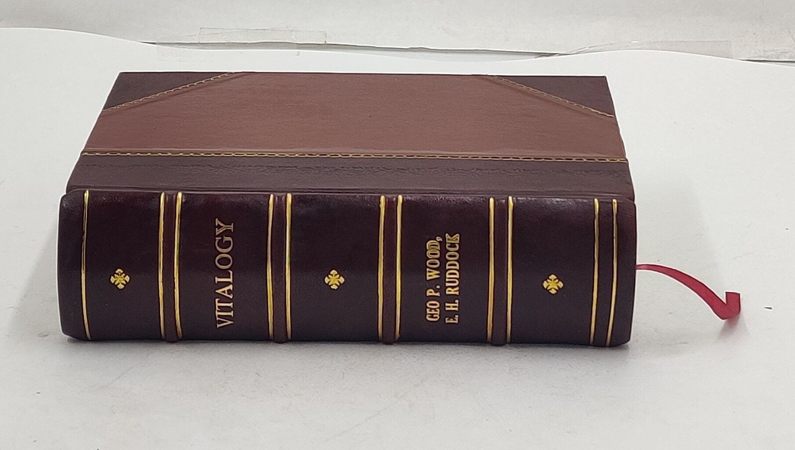 Vitalogy or Encyclopedia of health and home Adapted for home a [Leather Crafted]