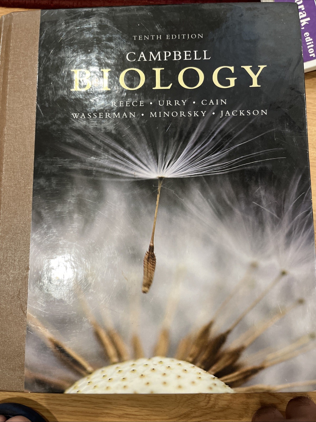 Campbell Biology (10th Edition) – LIKE NEW