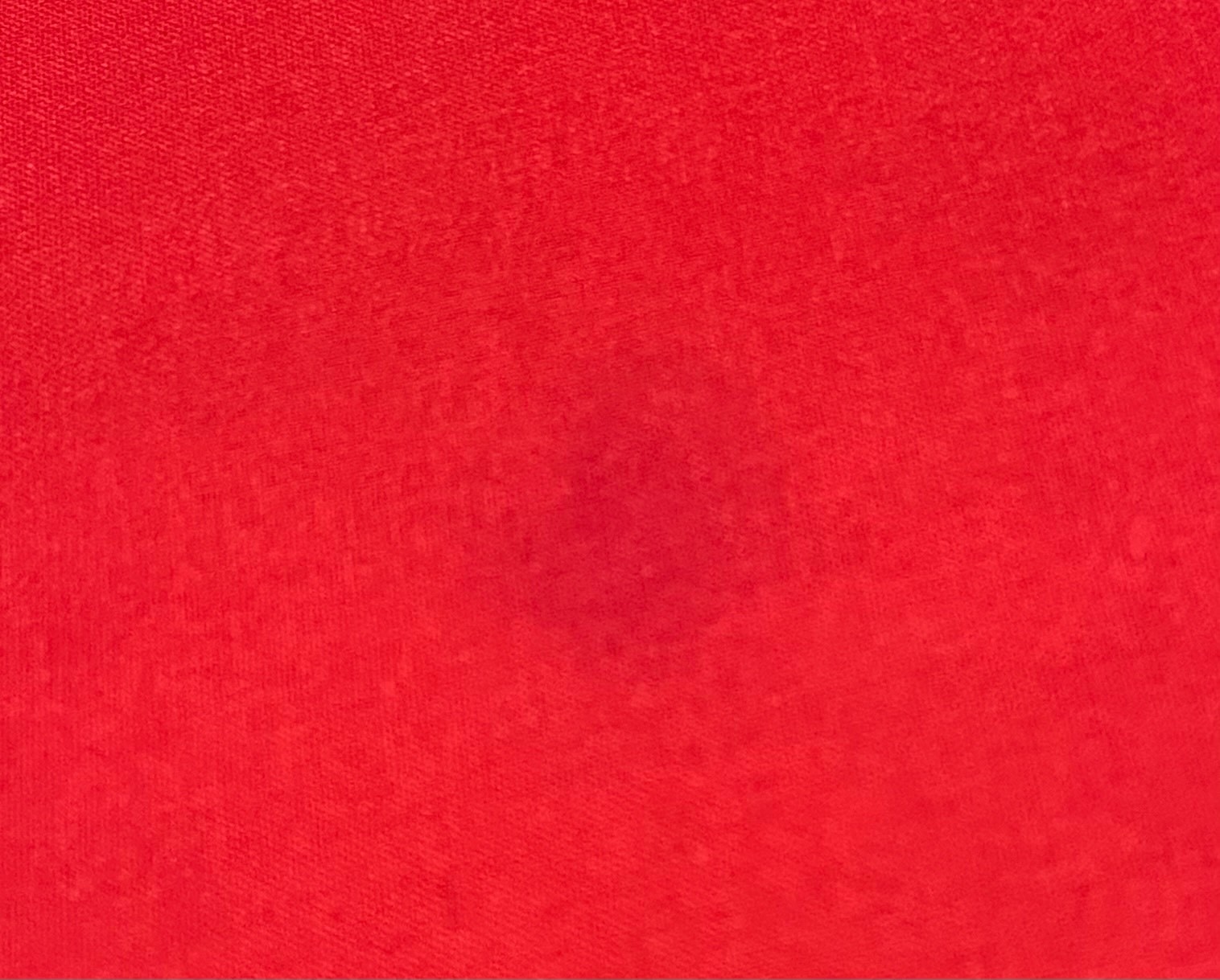 The Red Book Liber Novus (New Book) C.G. Jung first edition hardcover