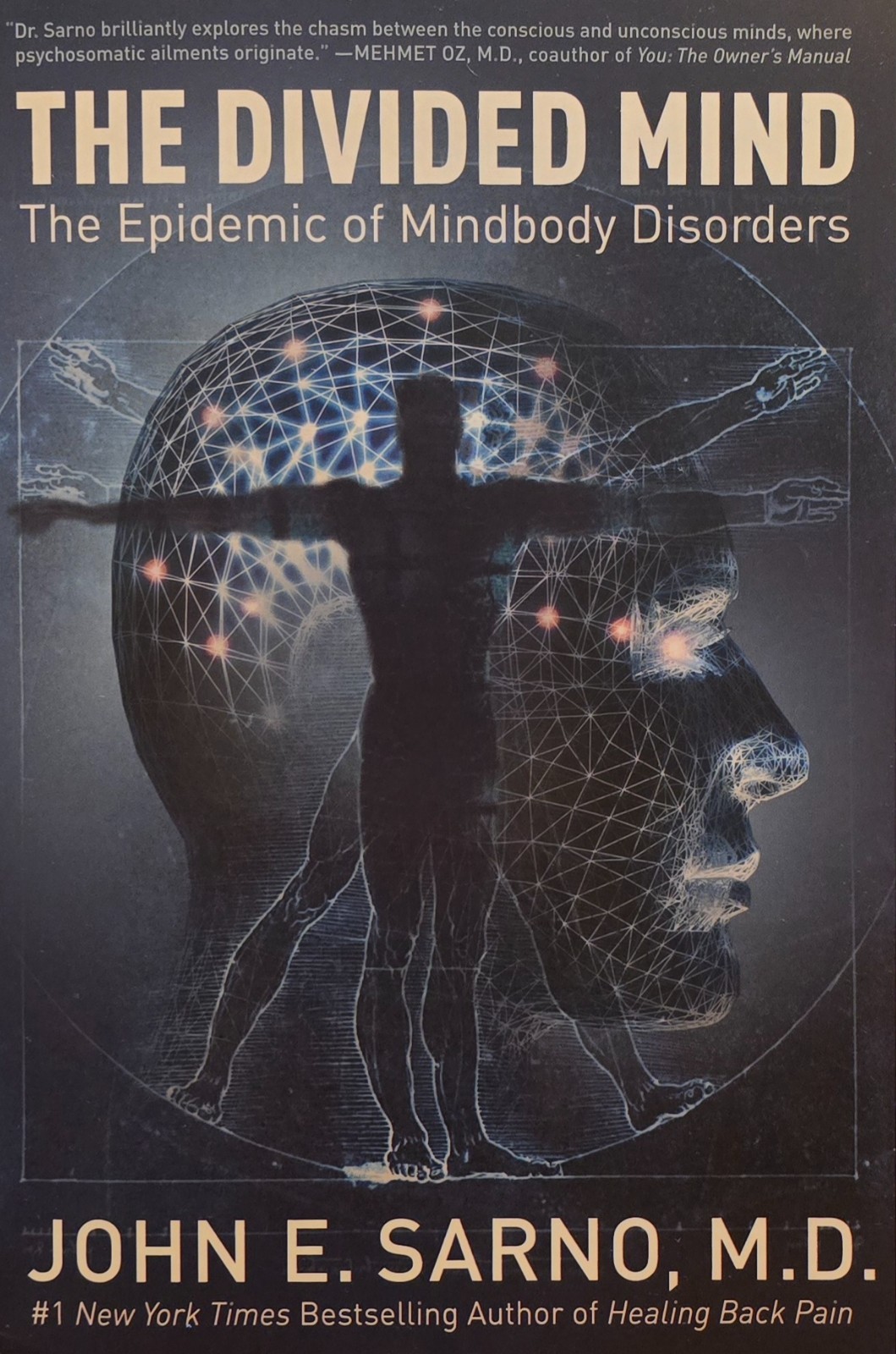The Divided Mind: The Epidemic of Mindbody Disorders John E Sarno PB