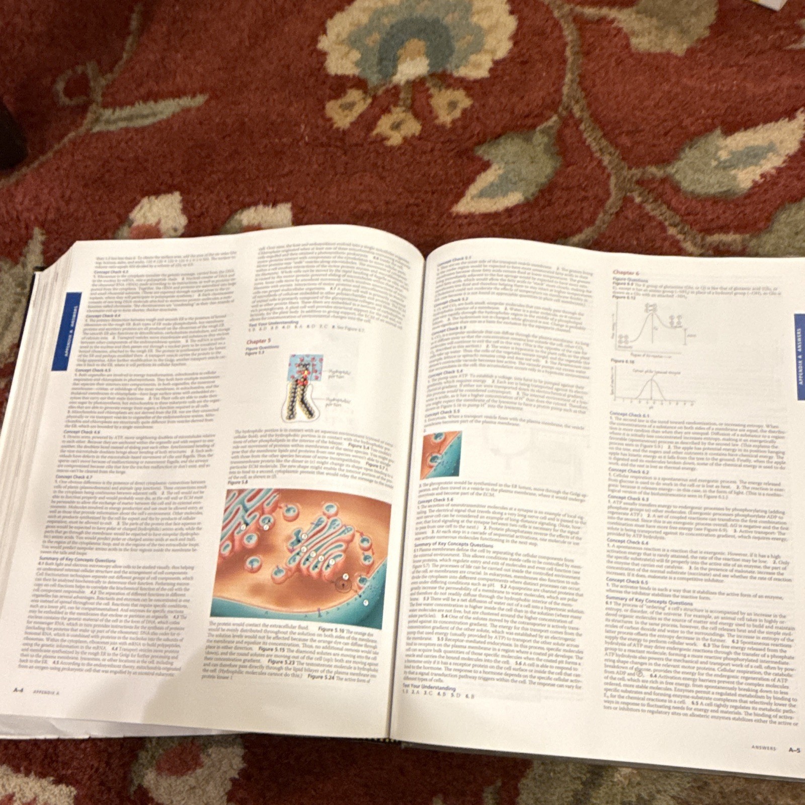 Pearson Campbell Biology in Focus AP Edition Textbook 2014 High School