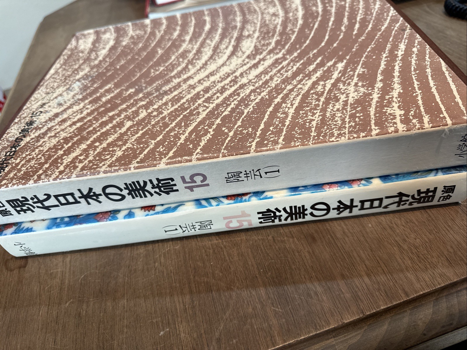 Genshoku Gendai Nihon no Bijutsu Modern Japanese Art Ceramics Vol 15 Shogakukan