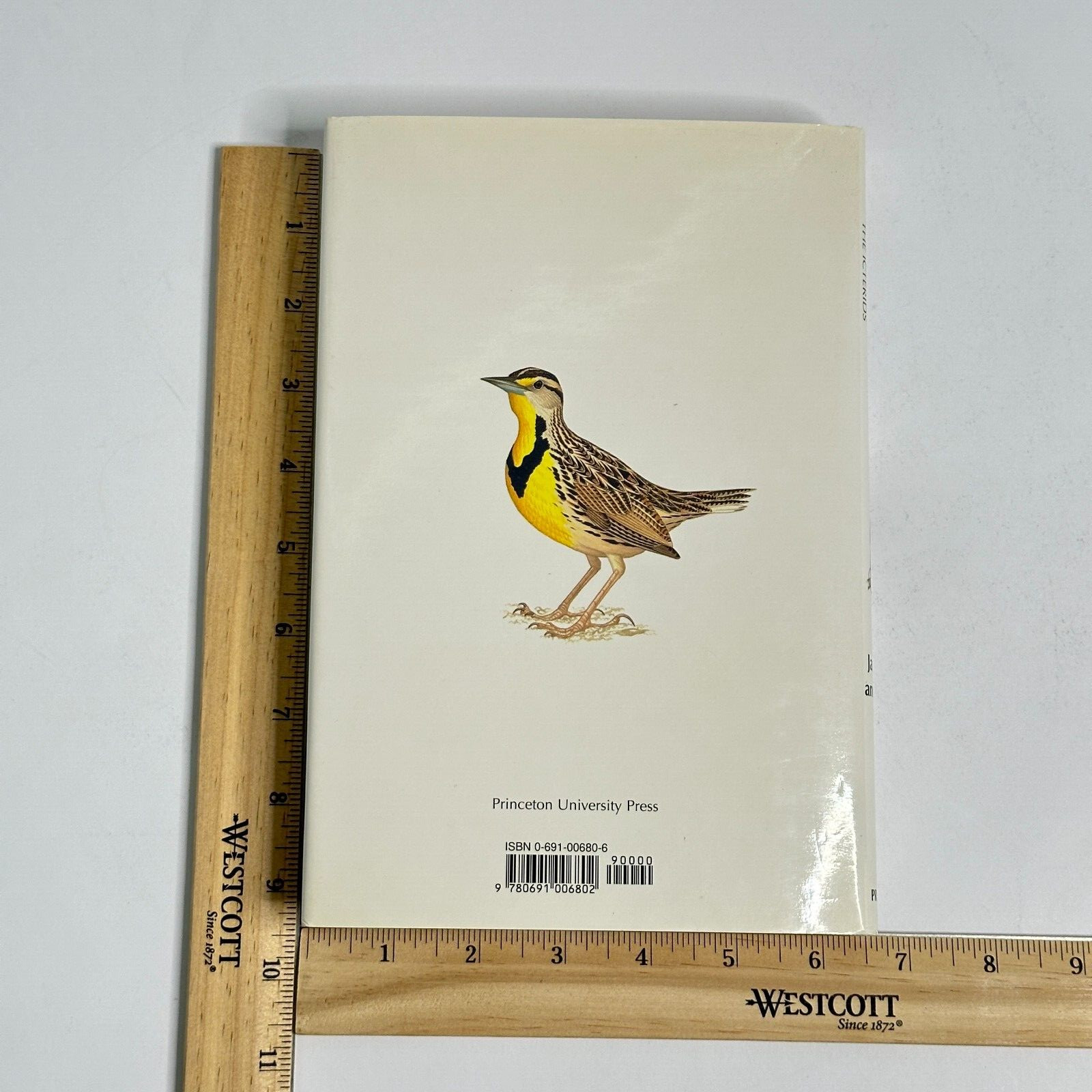 New World Blackbirds: The Icterids, Jaramillo & Burke (1999, HC/DJ, 1st Edition)