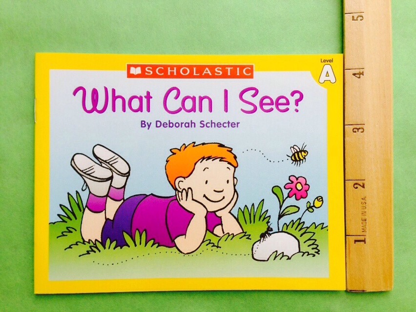 Level A PreK Kindergarten First Grade Learn to Read Childrens Kids Books Lot 15