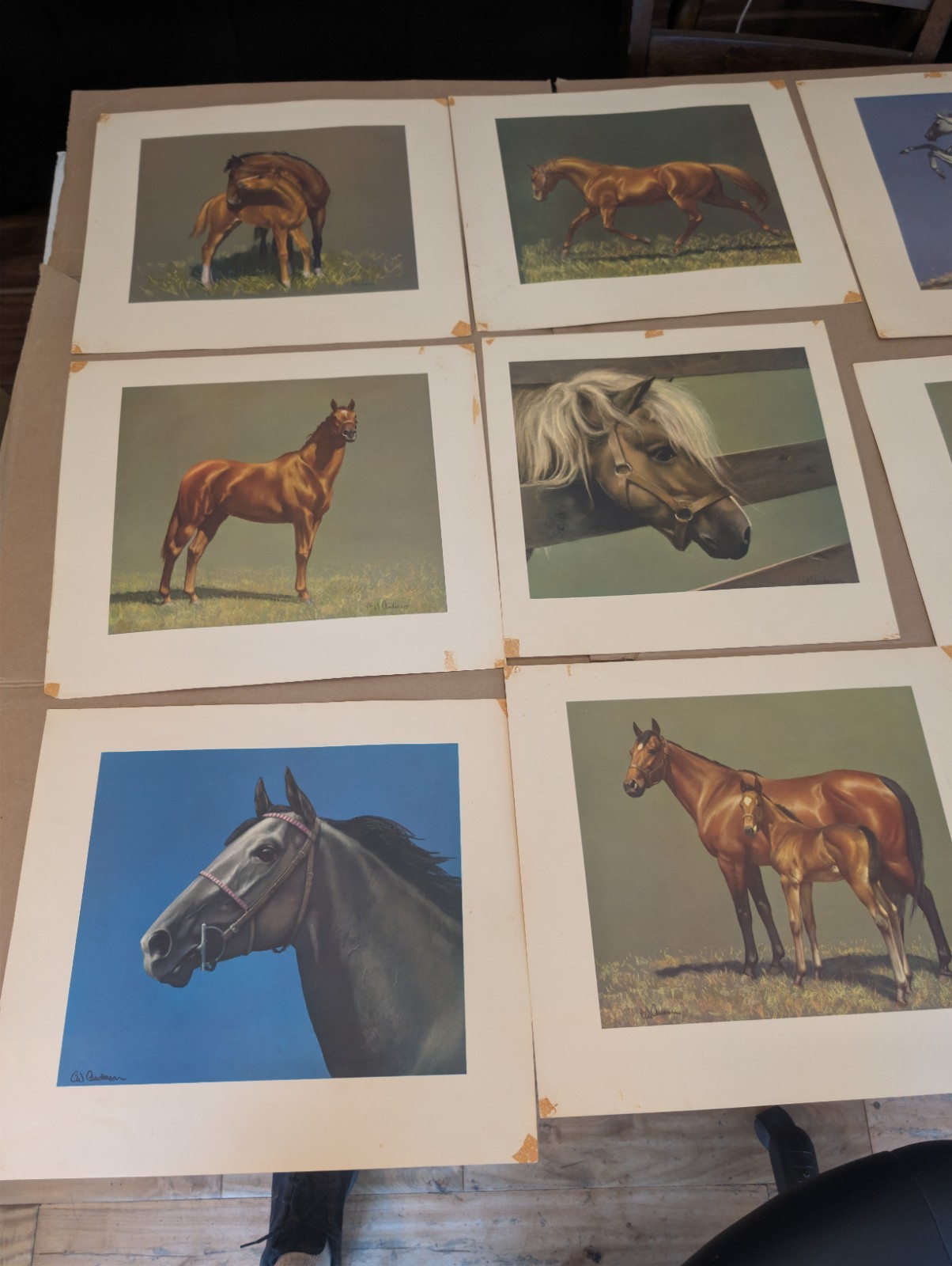 C.W. Anderson Grey Bay and Chestnut Horse Print Portfolio 1955 Harper 9 of 10