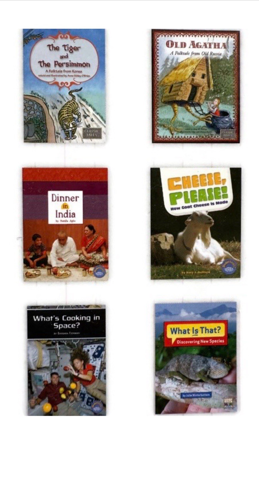 Set of 25 FOUNTAS & PINNELL Red LLI Levels O & Q Lessons 165-192 Leveled Readers