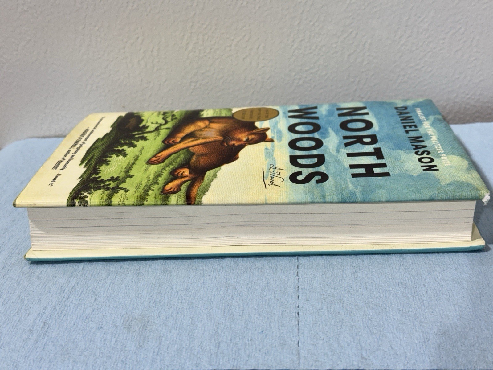 North Woods, Daniel Mason 2023 HCDJ 1st ed, 1st printing in Mylar, Fine